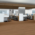 WILLOW-OAK-20-MIL-5715V-COPPER-OAK-00841-room-image