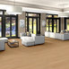 WILLOW-OAK-30-MIL-5716V-GOLDEN-OAK-01229-room-image