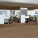WILLOW-OAK-4.0-5717V-GROUNDED-OAK-07366-room-image
