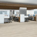 INDWELL-II-20-5723V-PARCHMENT-01181-room-image