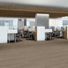 INDWELL-II-20-5723V-SMOKY-TAUPE-07315-room-image