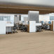 INDWELL-II-SPC-5724V-FLAXEN-02097-room-image