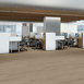 INDWELL-II-SPC-5724V-HAZELWOOD-07312-room-image