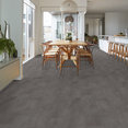 OBELISK-W/ACOUSTICAL-PAD-5742V-CHARCOAL-SOAPSTONE-00938-room-image