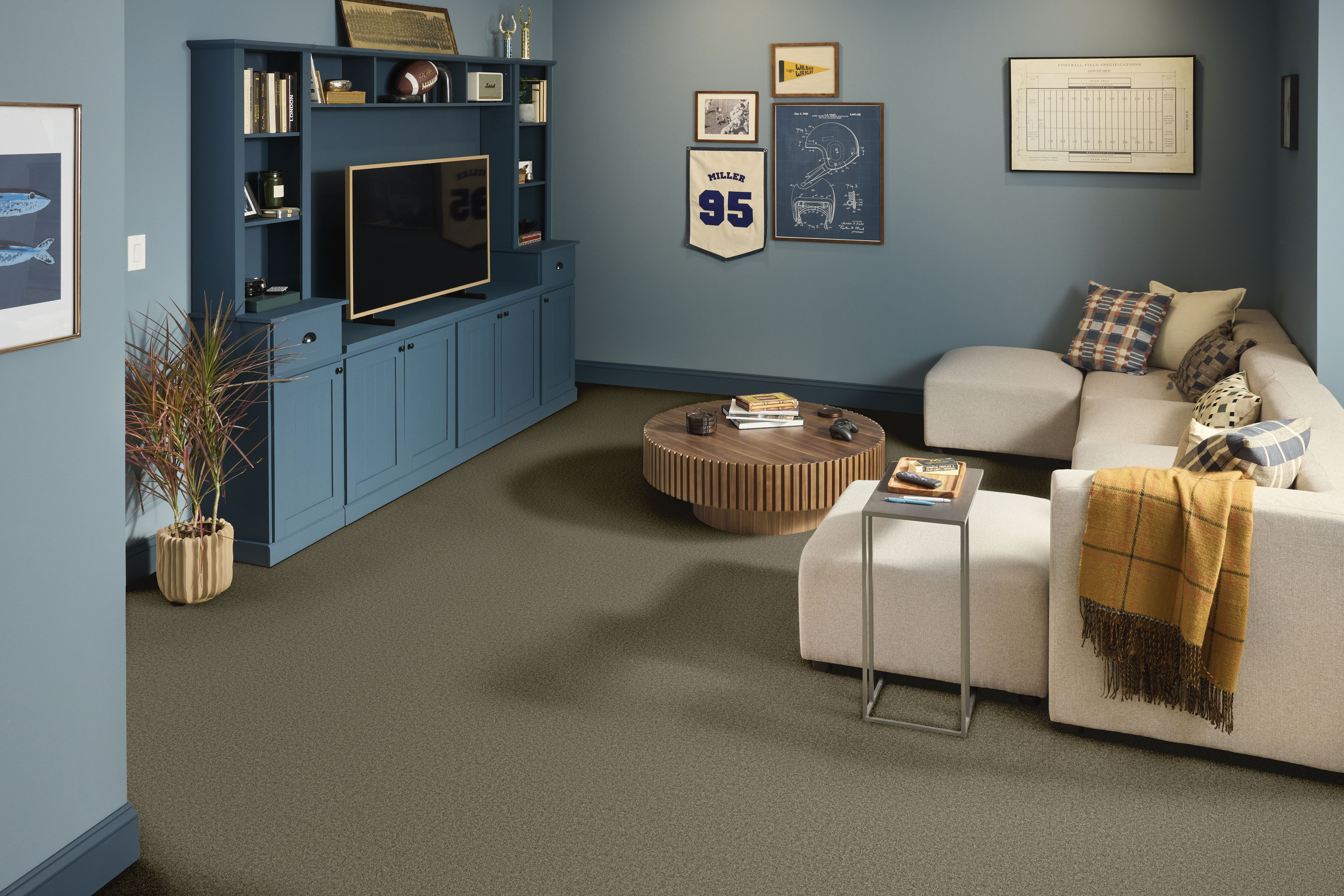 FREE TIME DRIFTWOOD ROOM