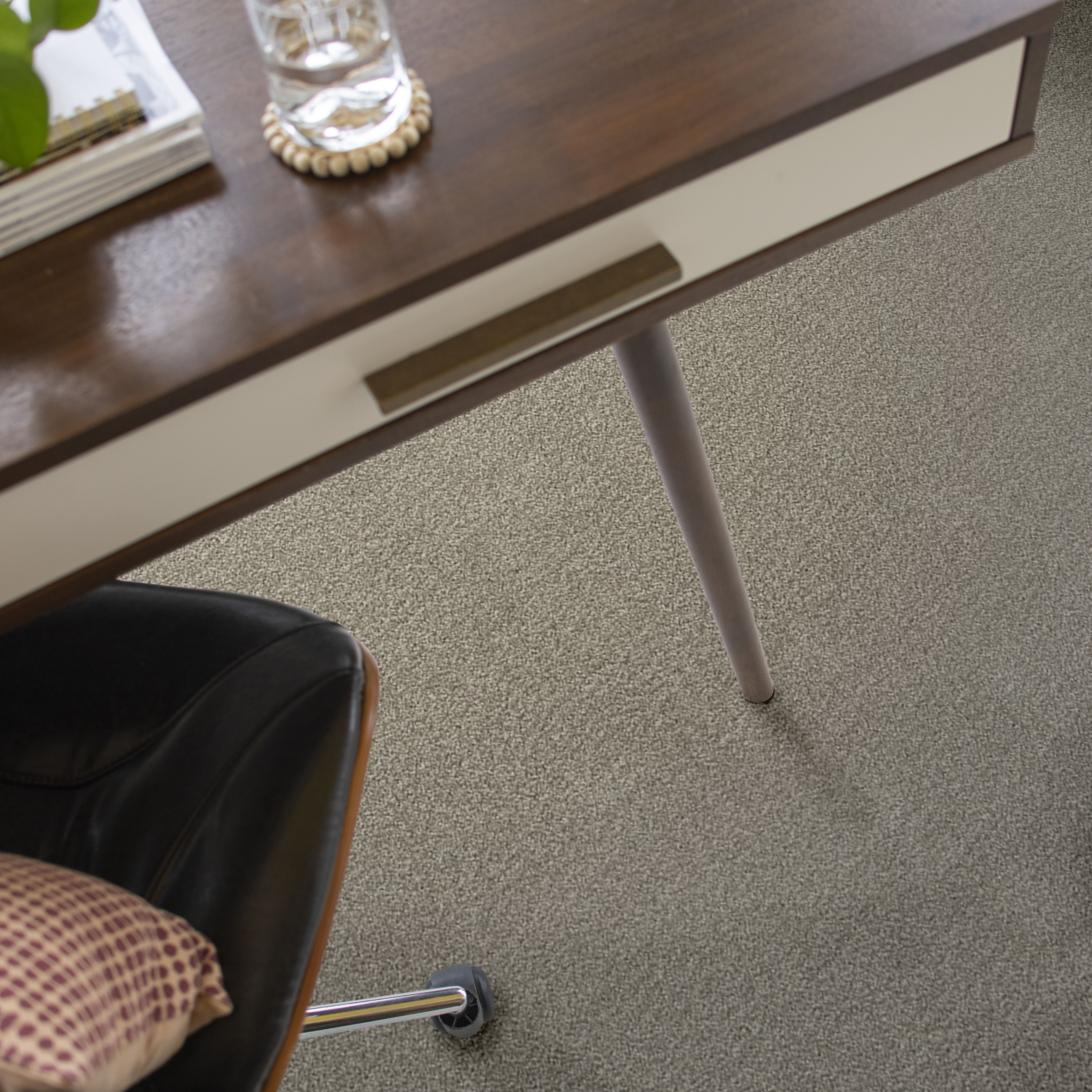 TRANSLATE FOSSIL ROOM