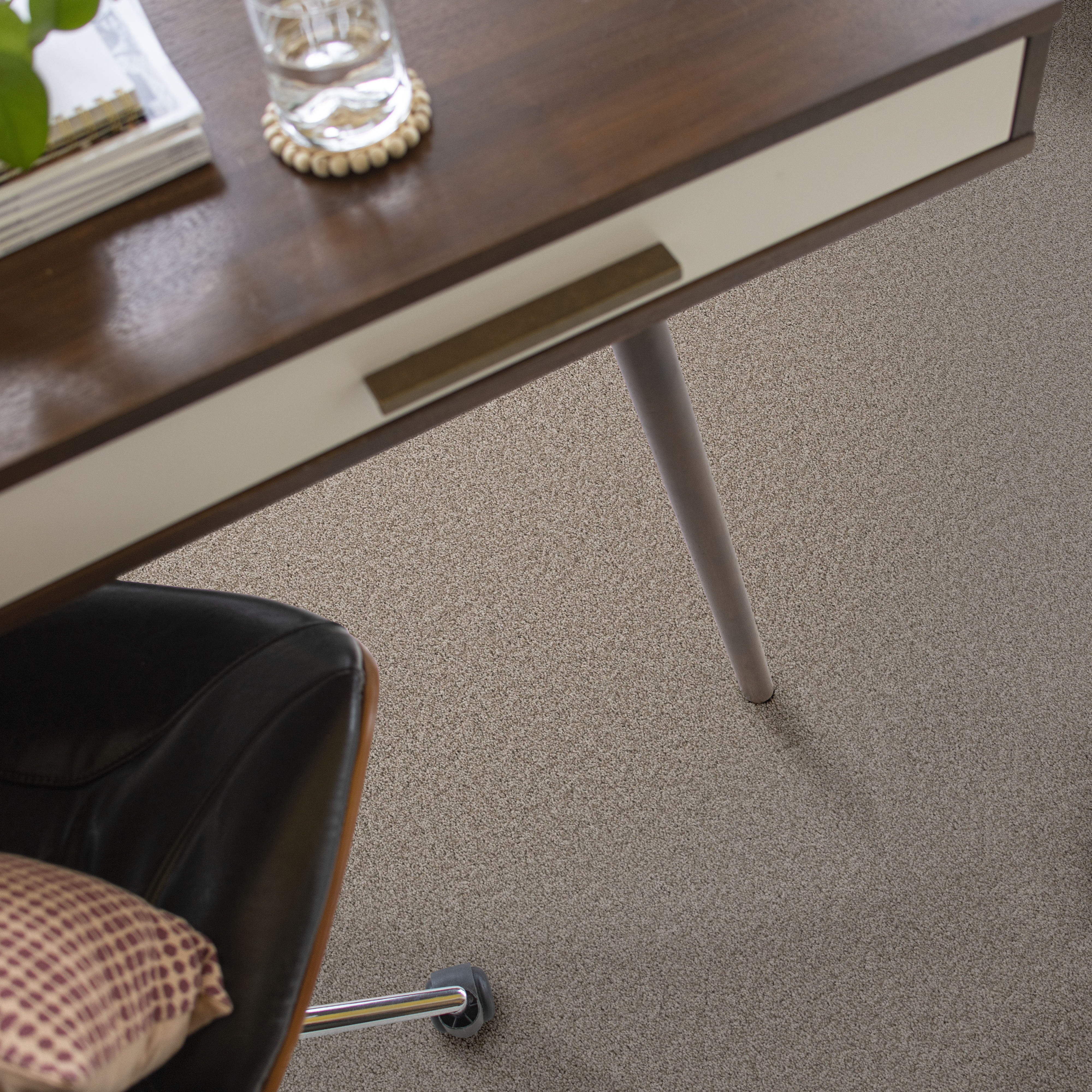 HARMONIOUS I FOSSIL PATH ROOM