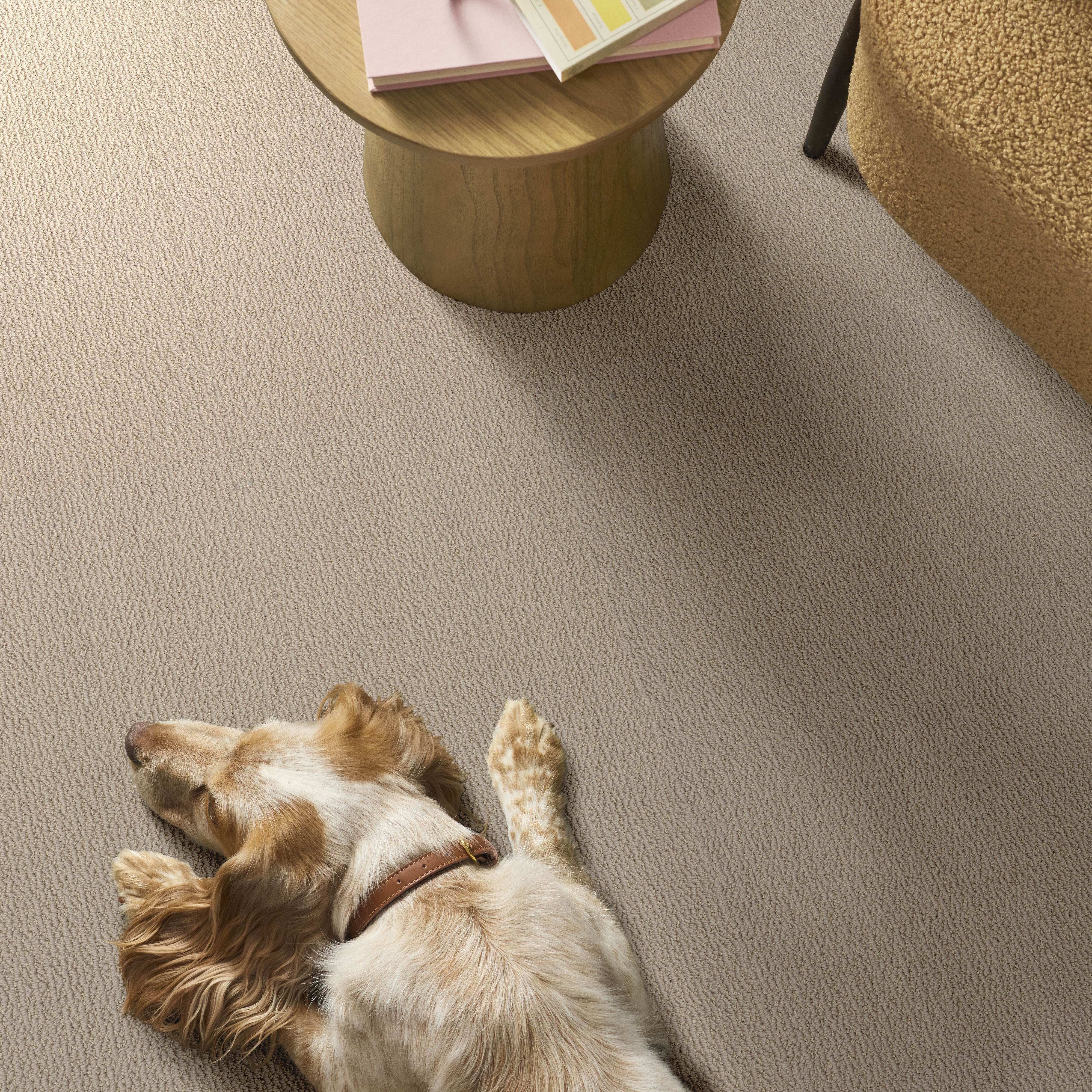 CRAFTED EMBRACE SUN KISSED ROOM