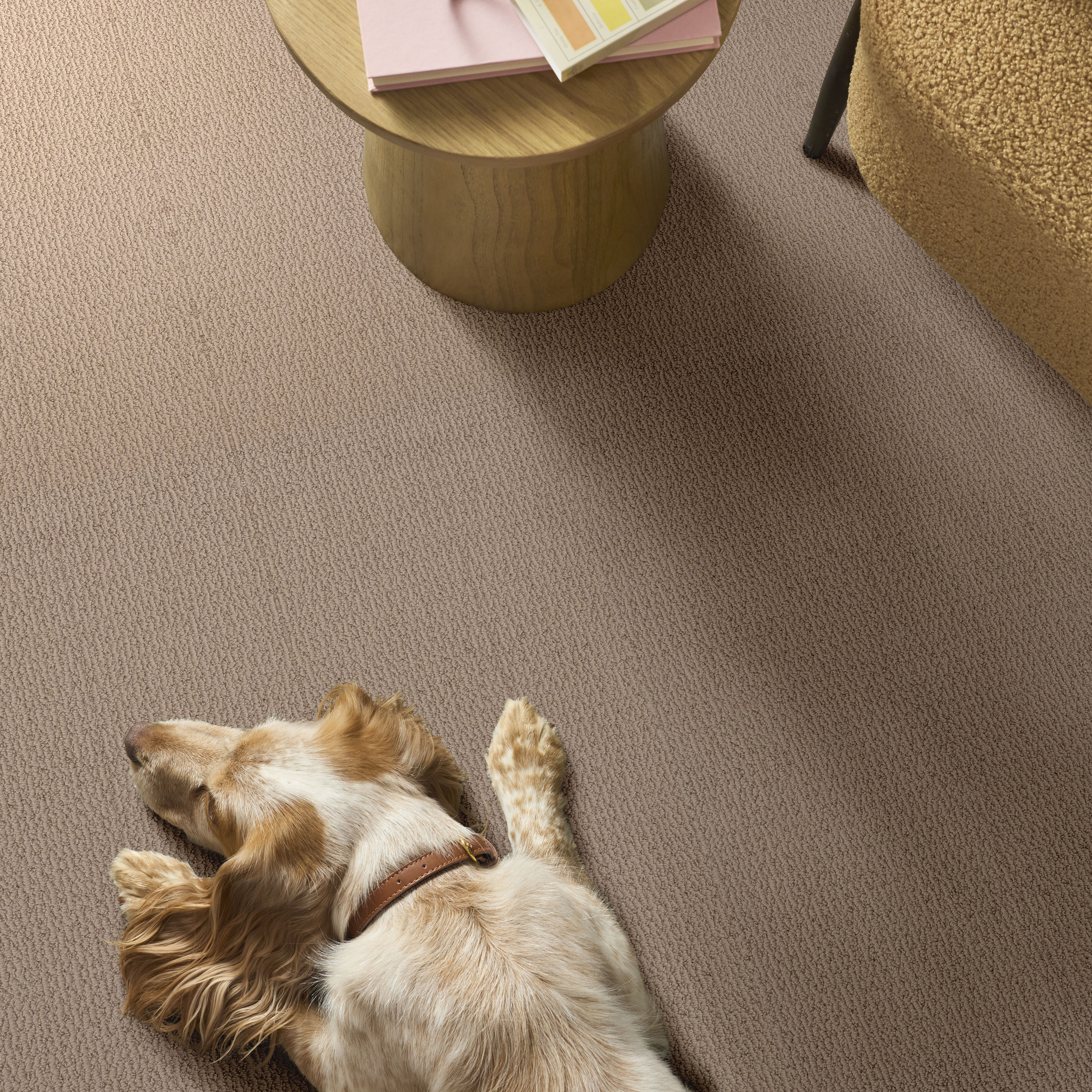 CRAFTED EMBRACE BEIGE BISQUE ROOM