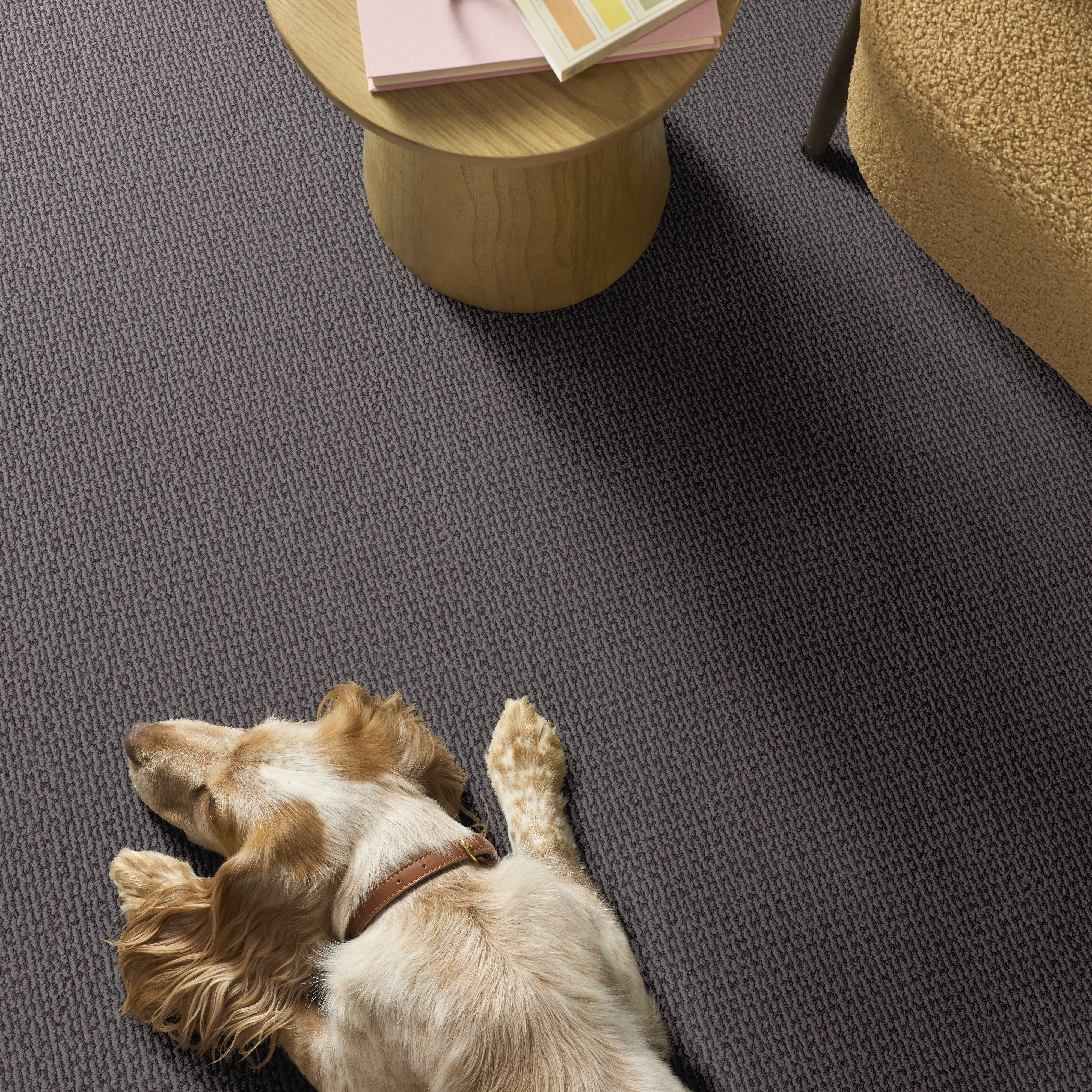 CRAFTED EMBRACE DOLPHIN ROOM