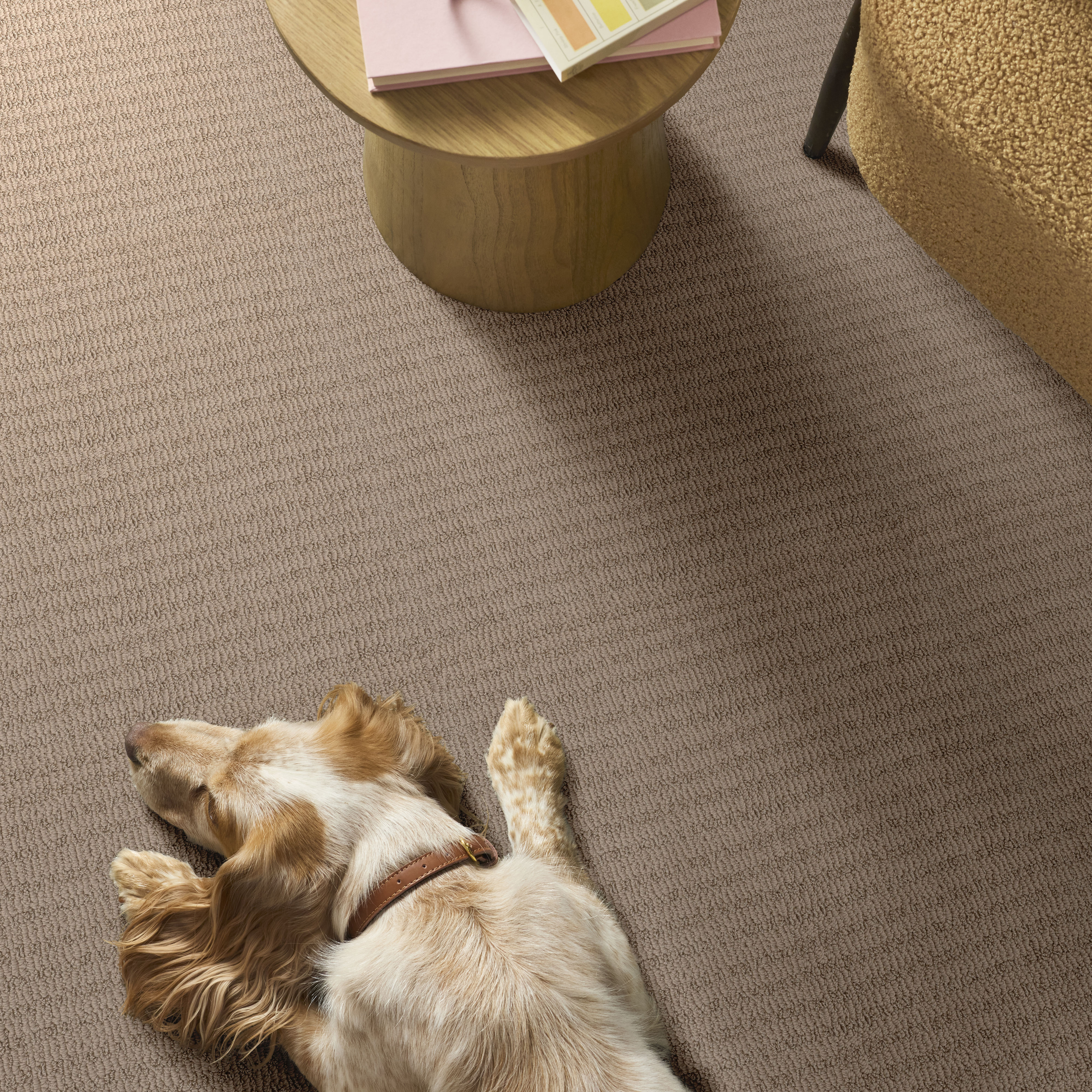 CHIC ELEVATION BEIGE BISQUE ROOM