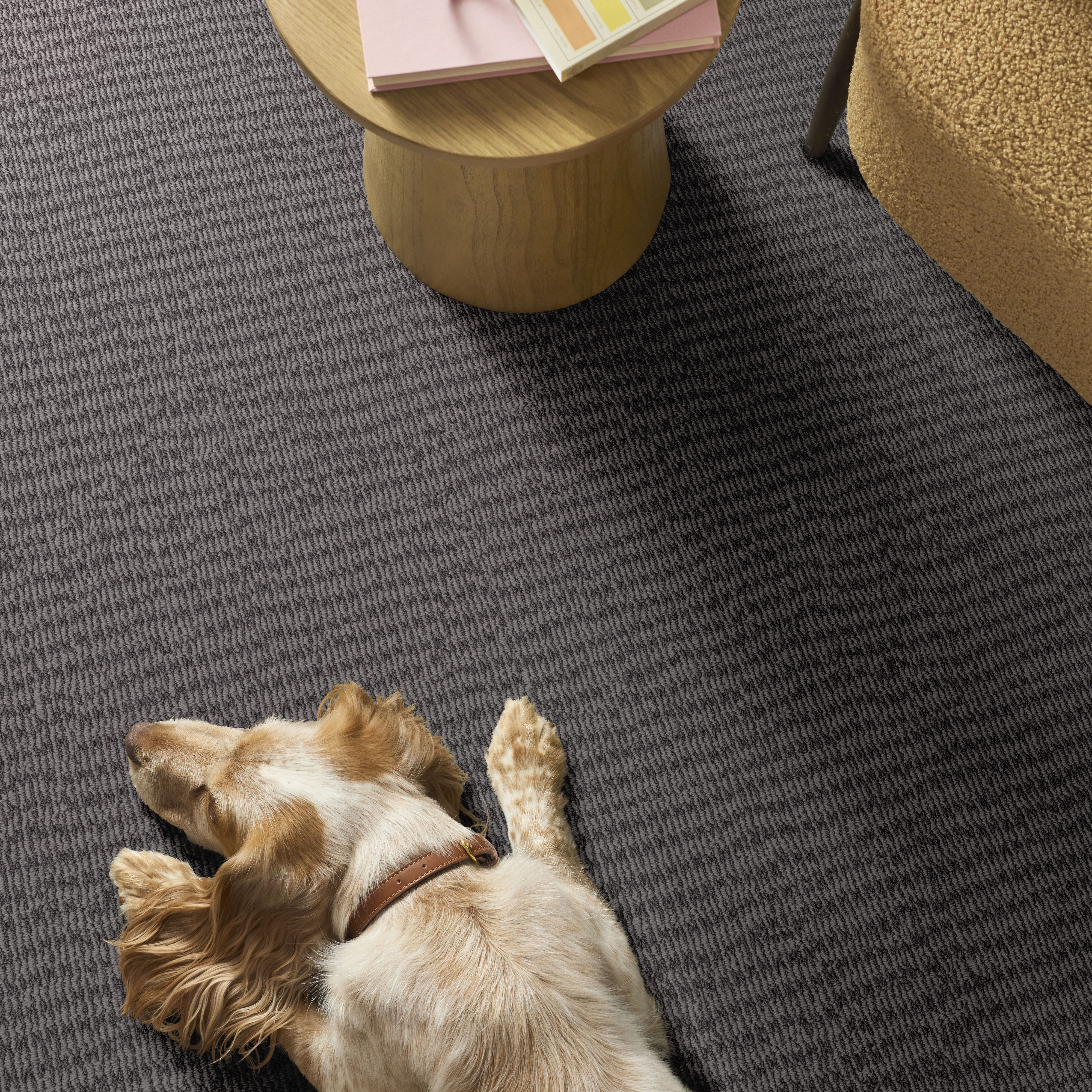 CHIC ELEVATION DOLPHIN ROOM