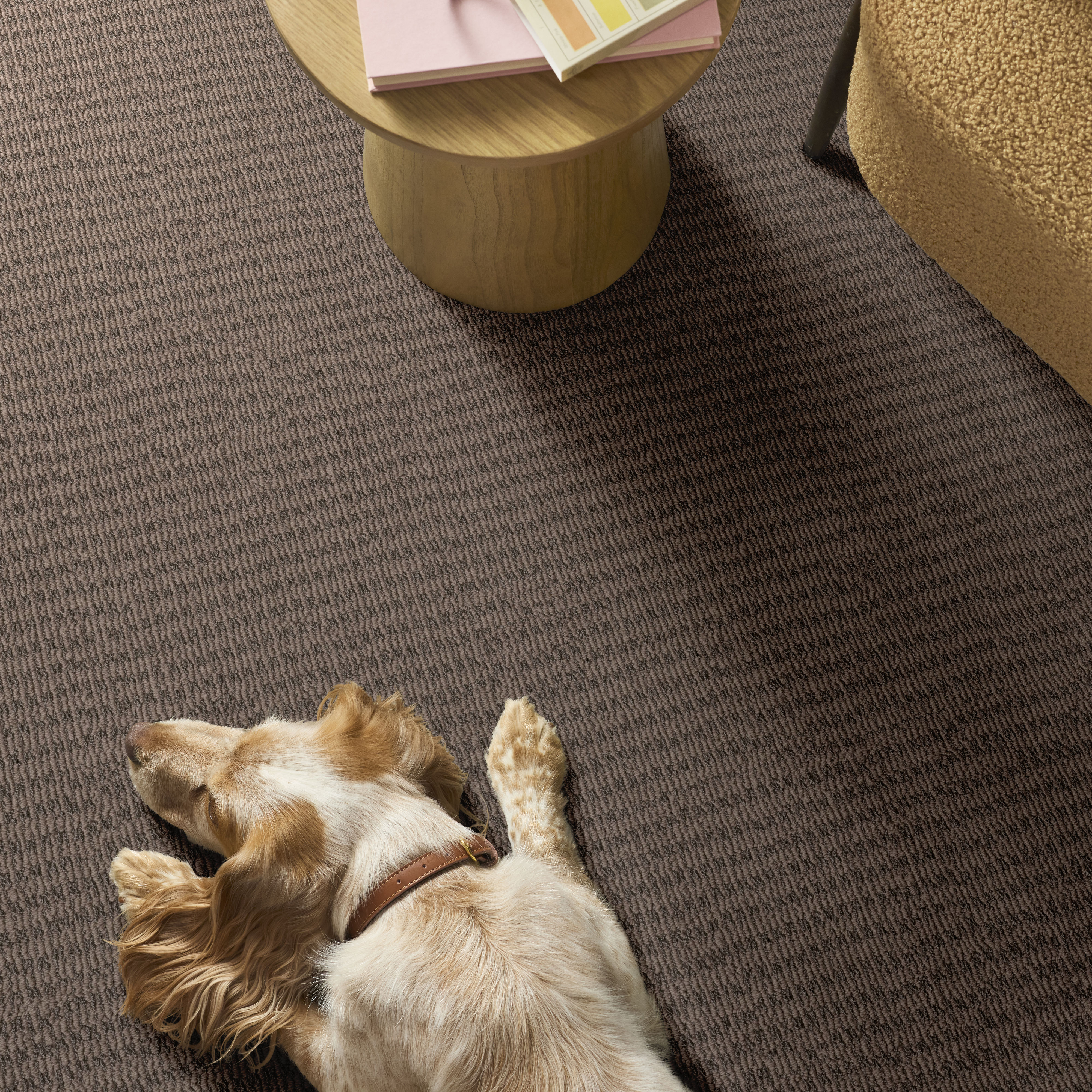 CHIC ELEVATION CHESTNUT ROOM