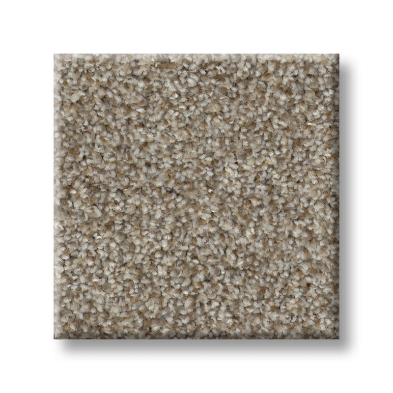 TRUSPIRIT I in Cottage by Shaw Floors