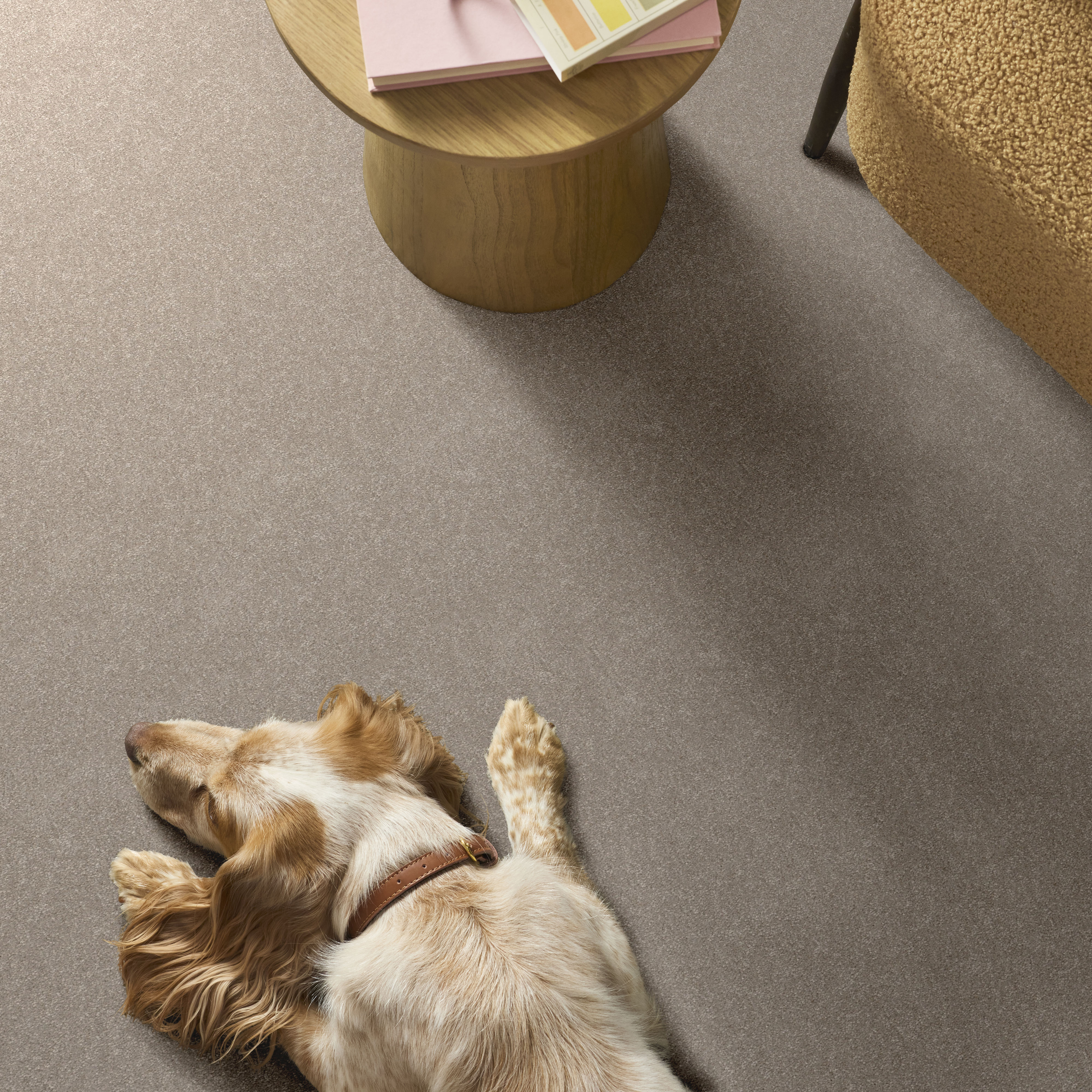 HARD AT PLAY I 12' SOFT SENSE ROOM