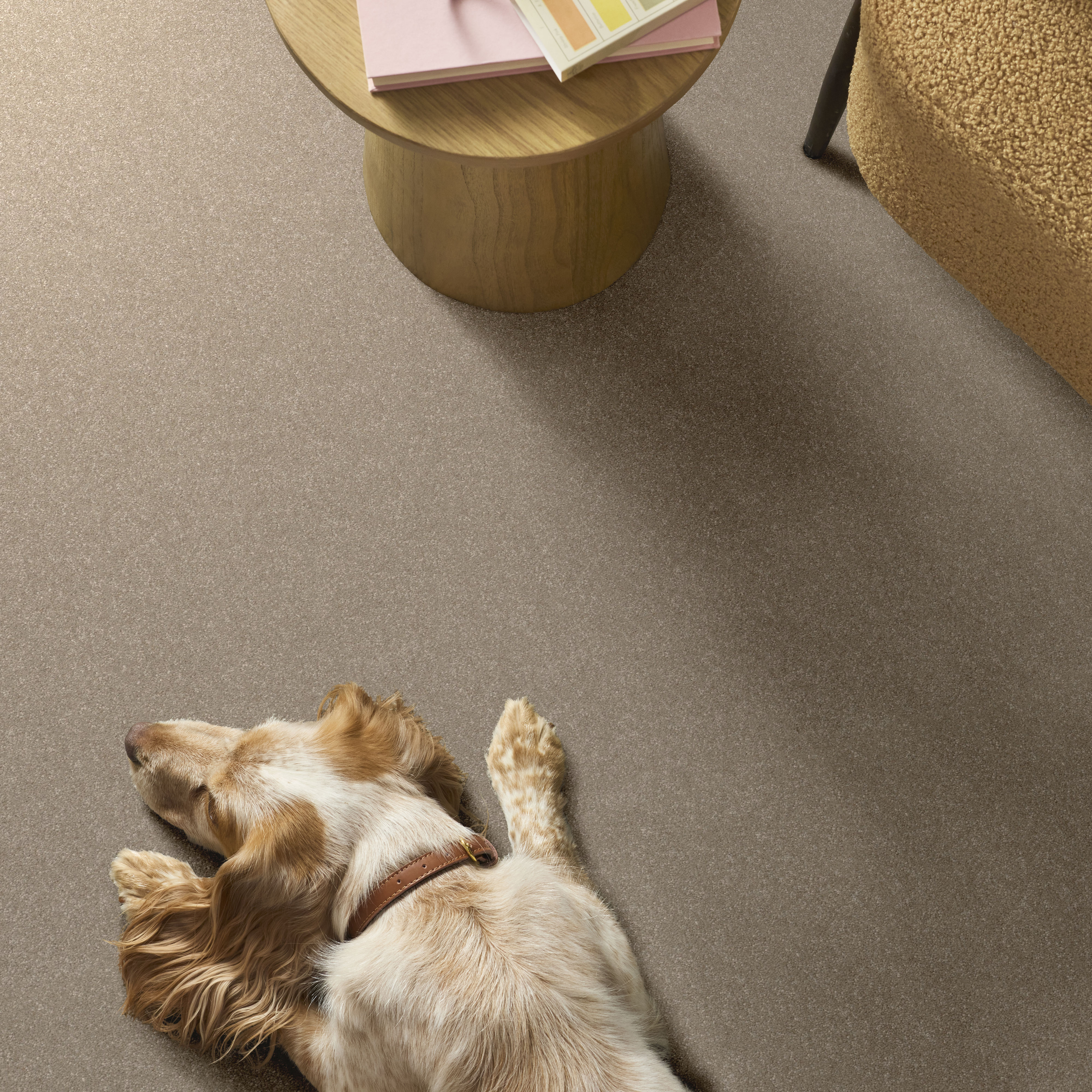 HARD AT PLAY I 12' SUBTLE CLAY ROOM