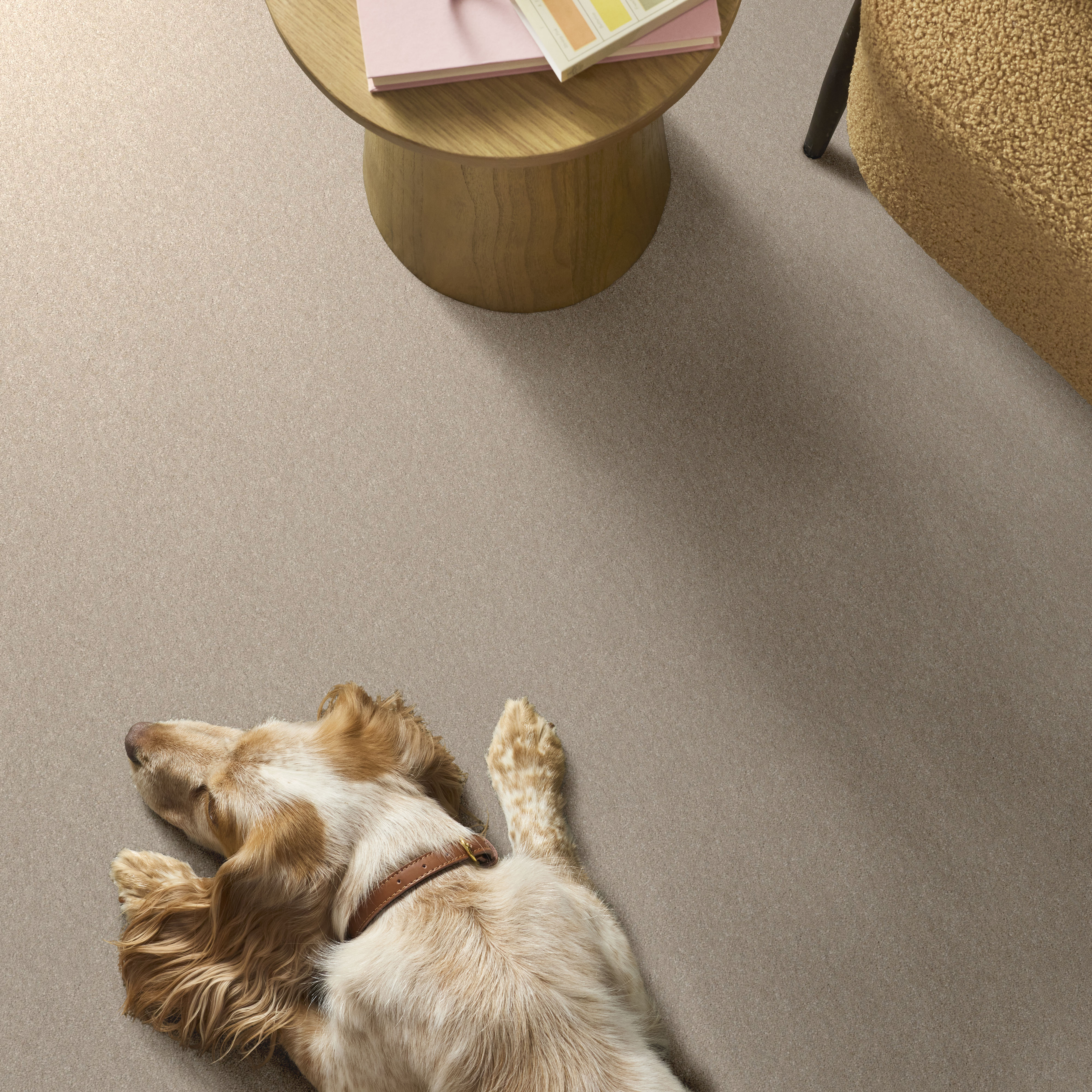 HARD AT PLAY I 12' WARM LIGHT ROOM