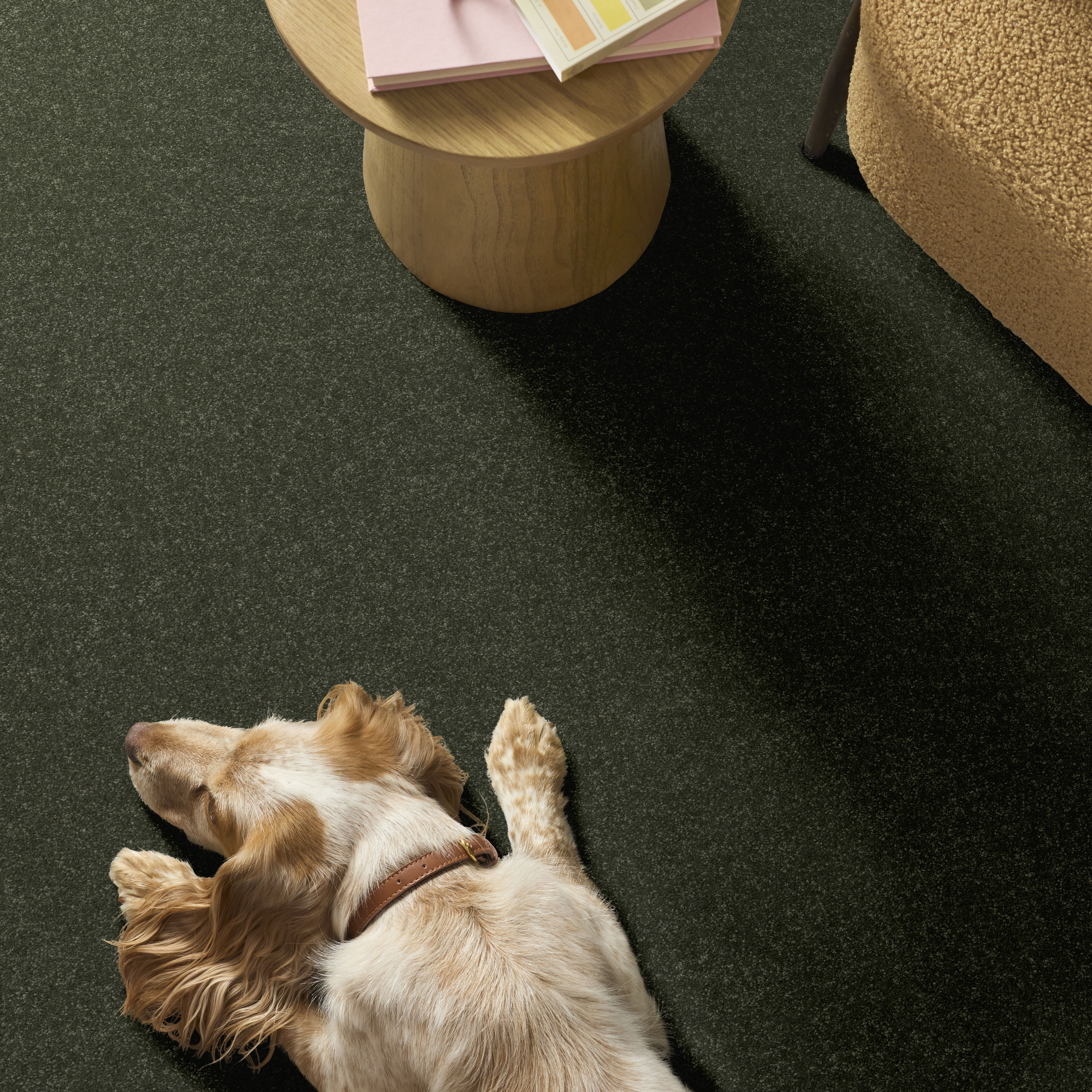 HARD AT PLAY I 12' REROOTED NATURE ROOM