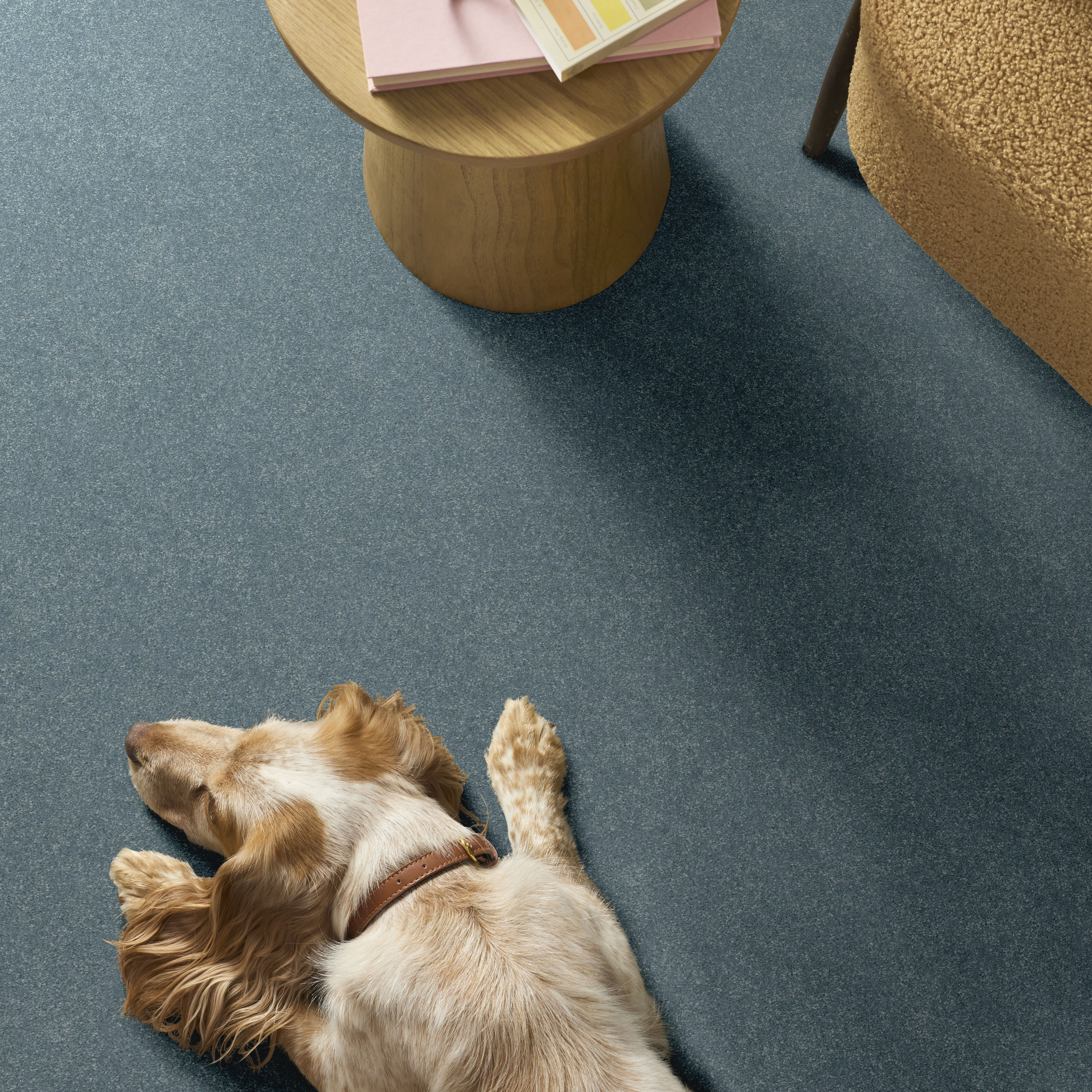 HARD AT PLAY I 12' SEA ICE ROOM