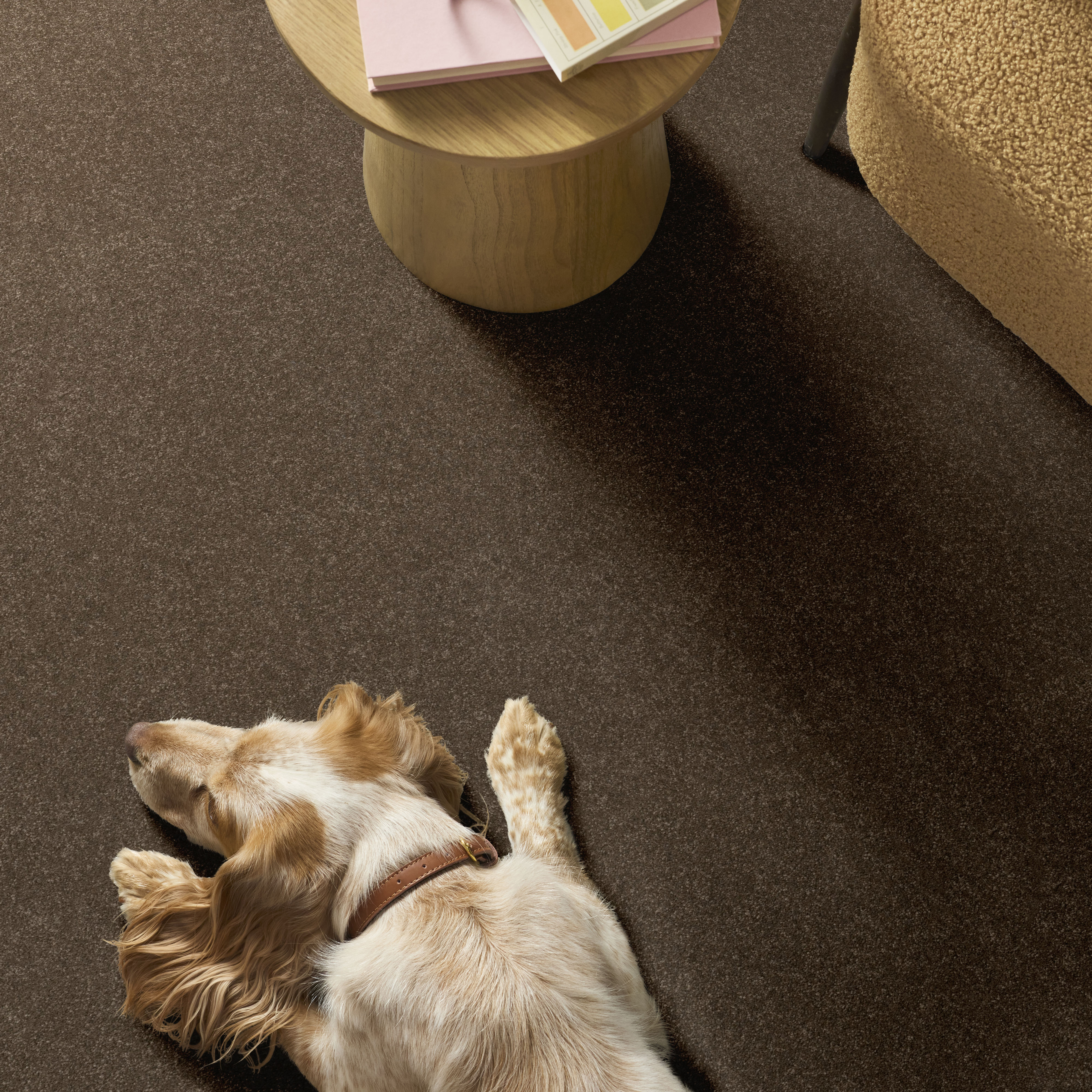 HARD AT PLAY I 12' MISSION RIDGE ROOM