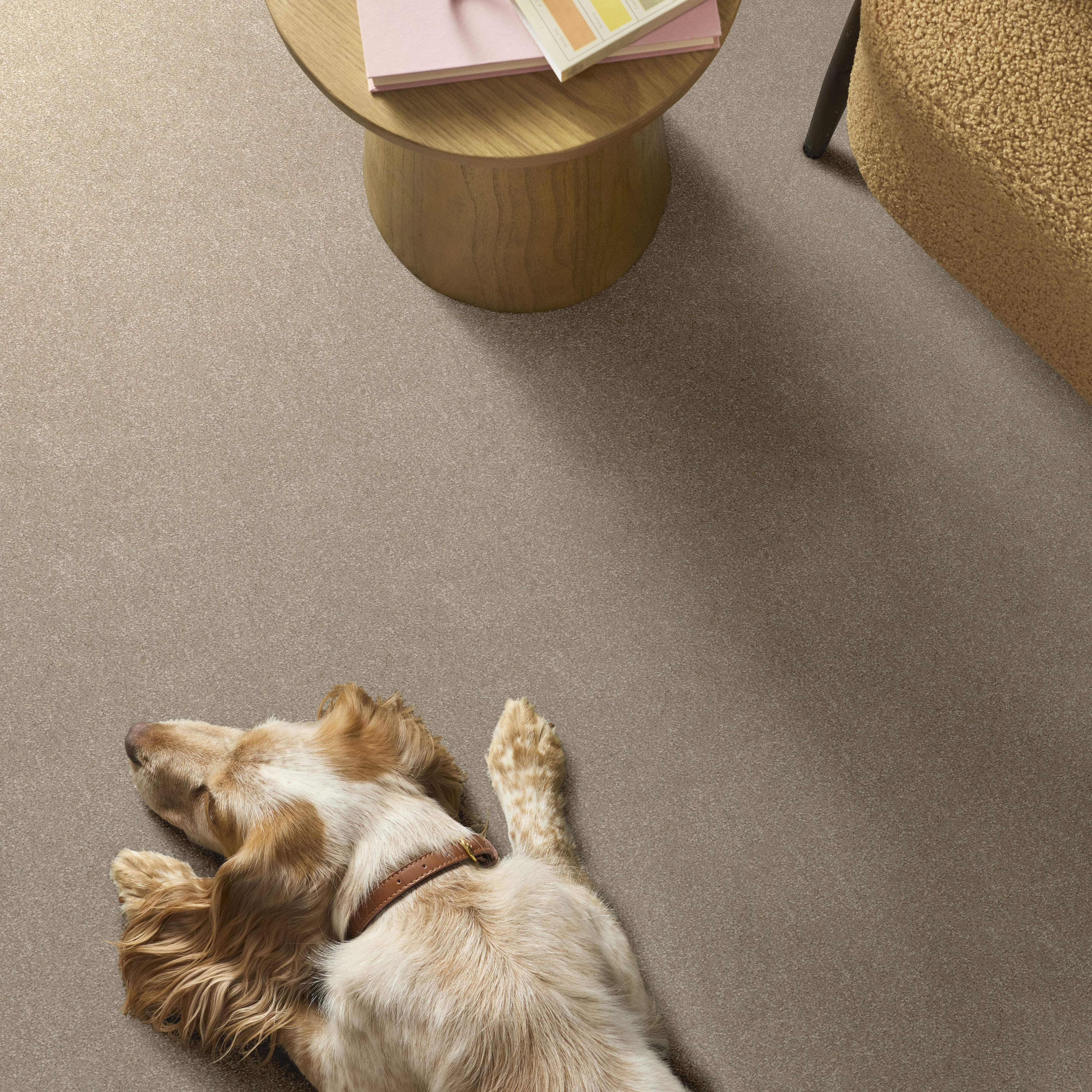 HARD AT PLAY II 12' NATURAL ROOM