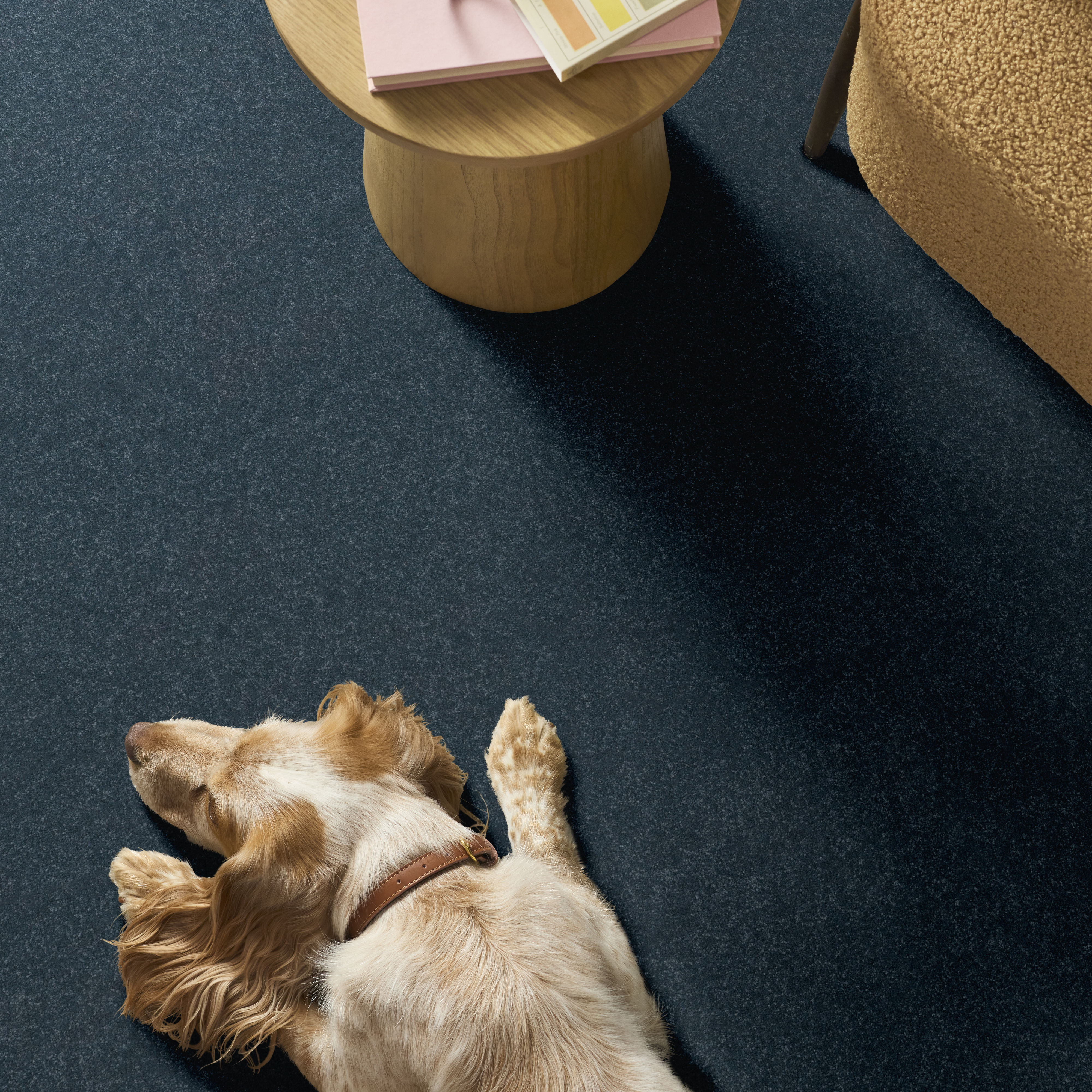 HARD AT PLAY II 12' REFINED ROOM