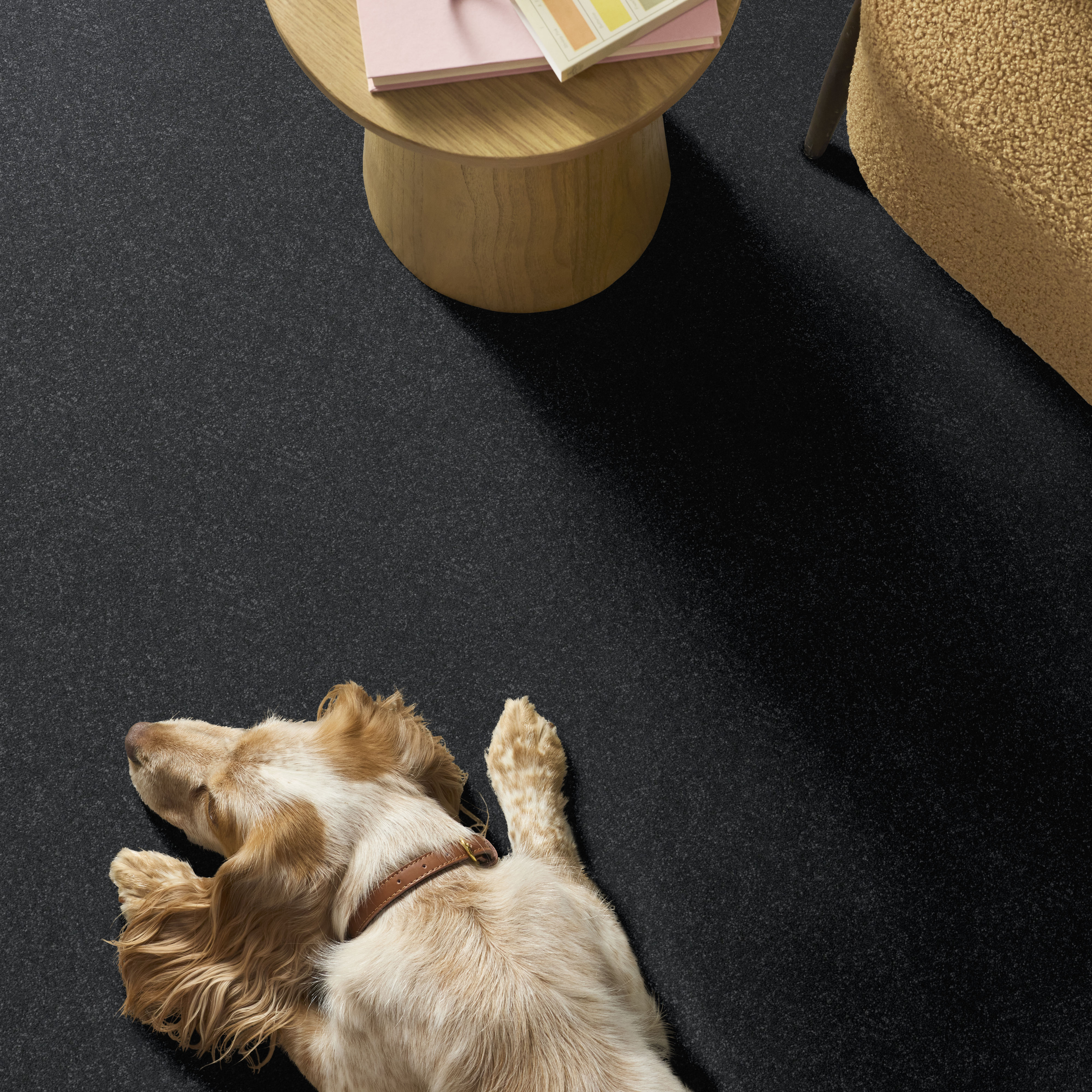 HARD AT PLAY II 12' SHADOW ROOM