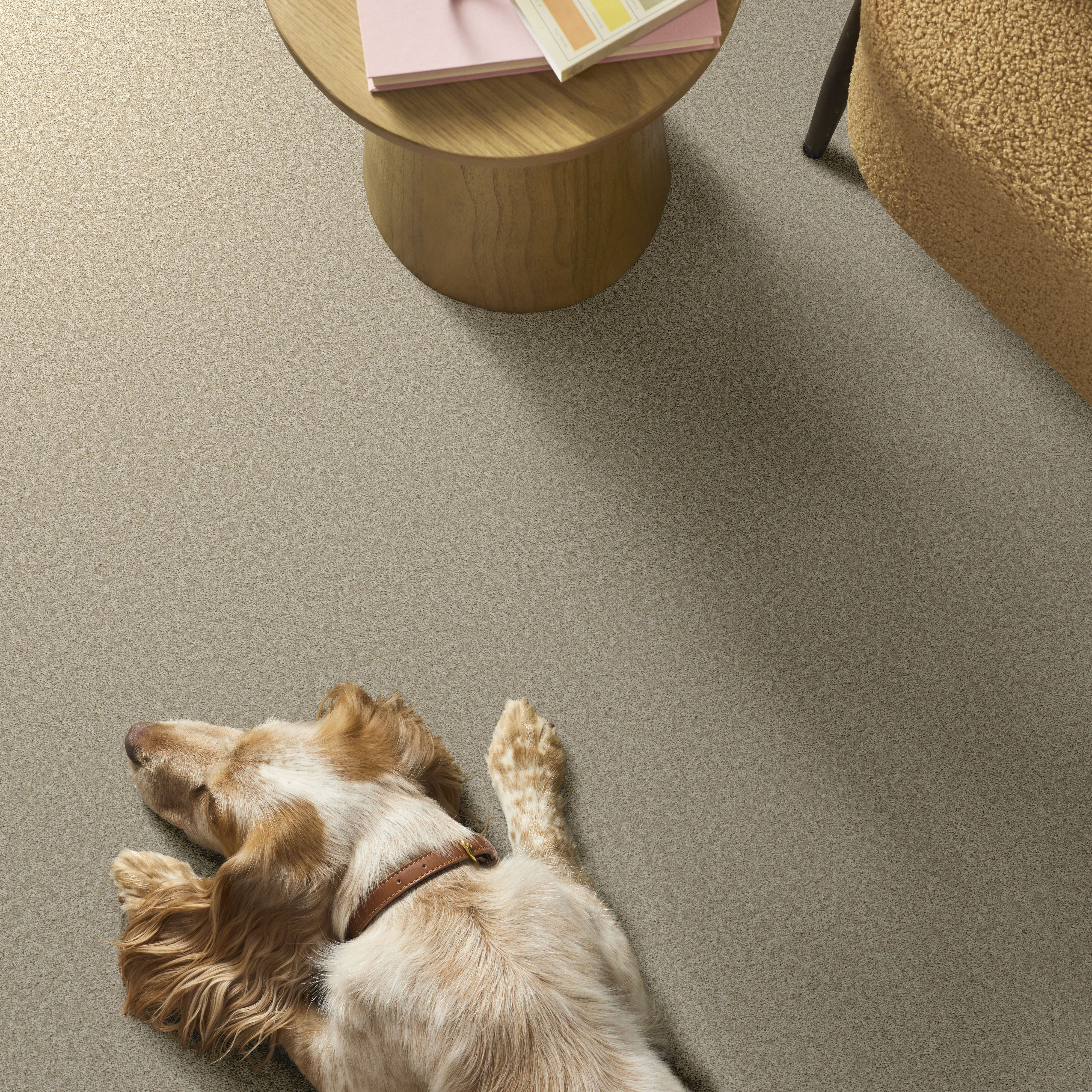 YOU GOT THIS I NATURAL ROOM