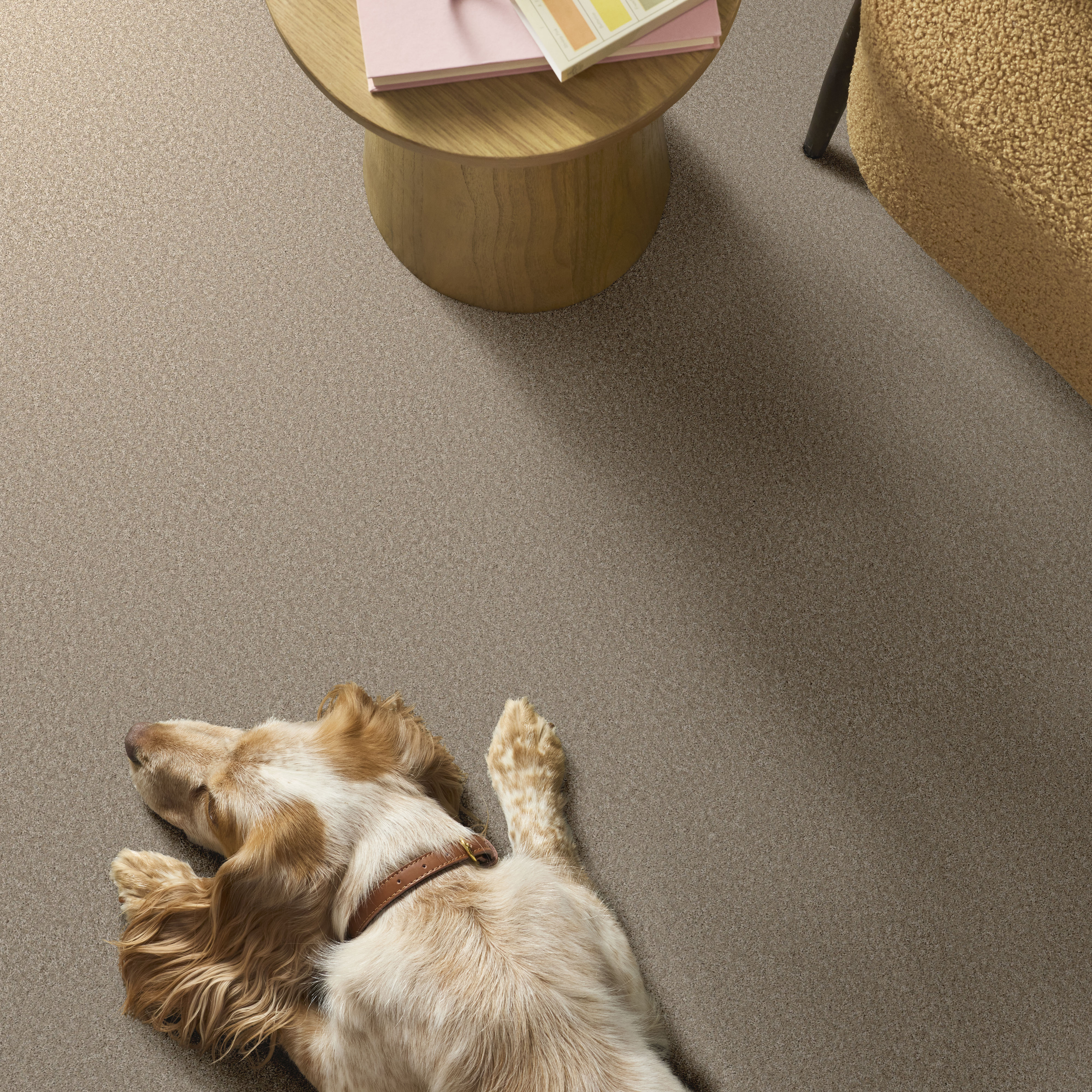 YOU GOT THIS I SUBTLE CLAY ROOM