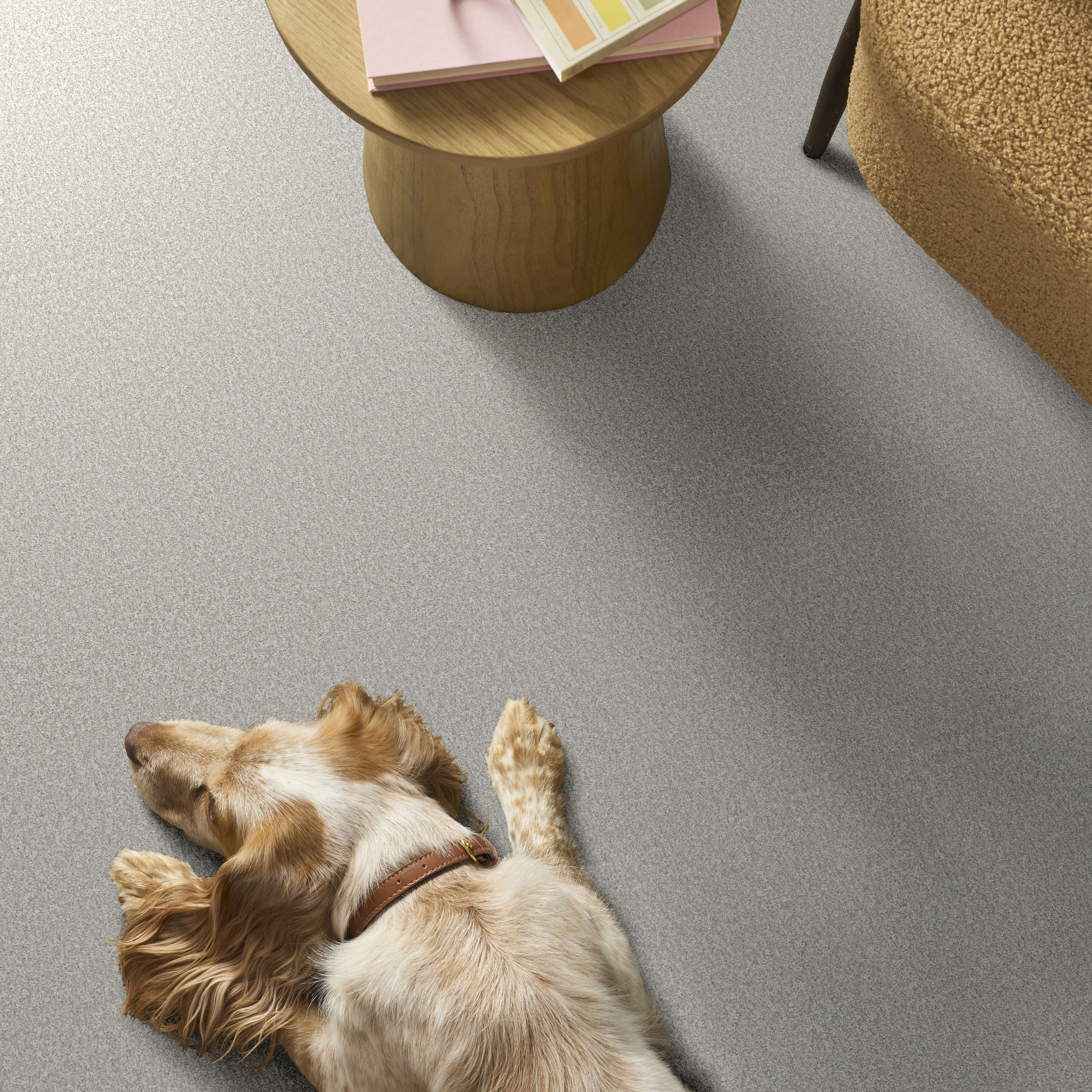 YOU GOT THIS I WHITECAP ROOM