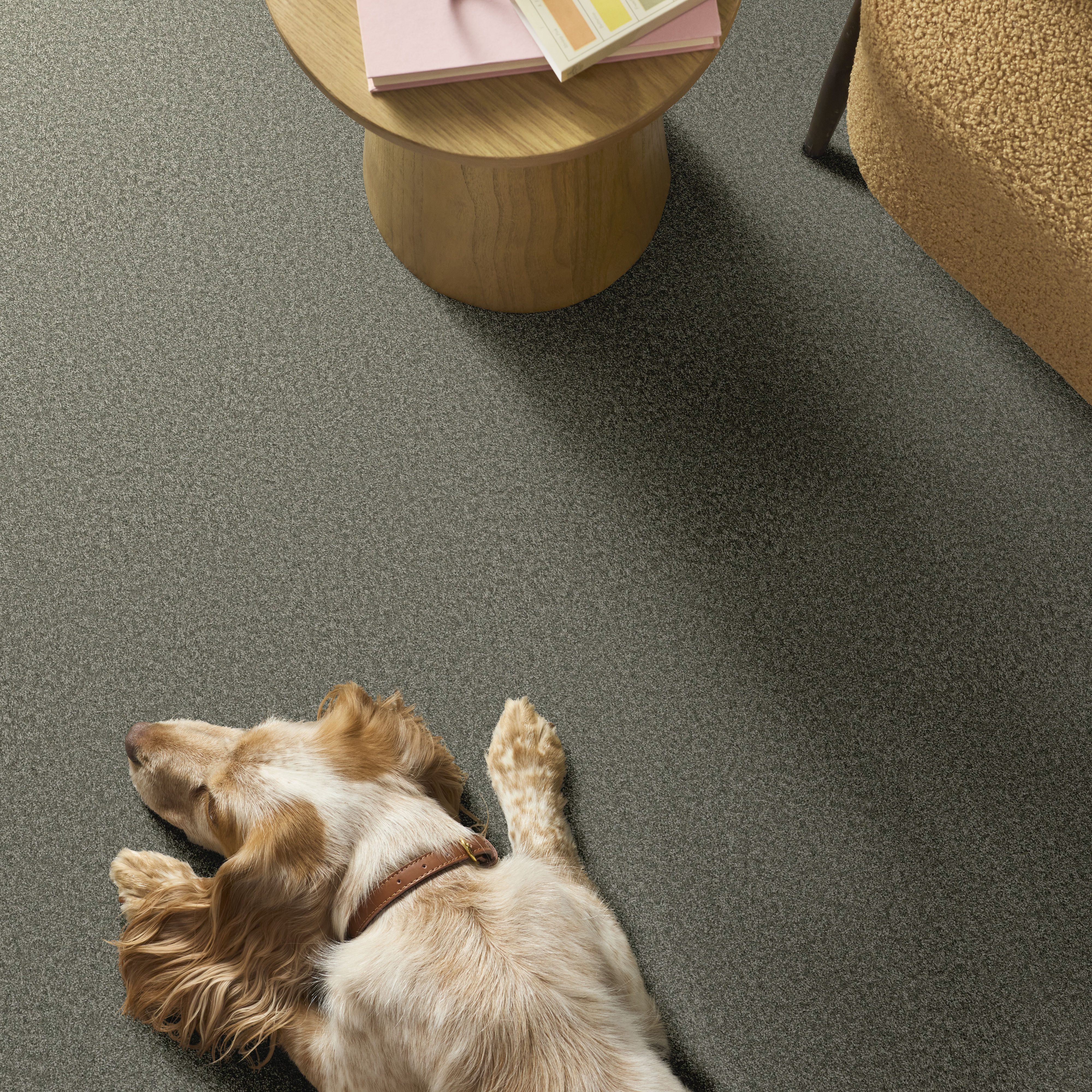 YOU GOT THIS I REROOTED NATURE ROOM