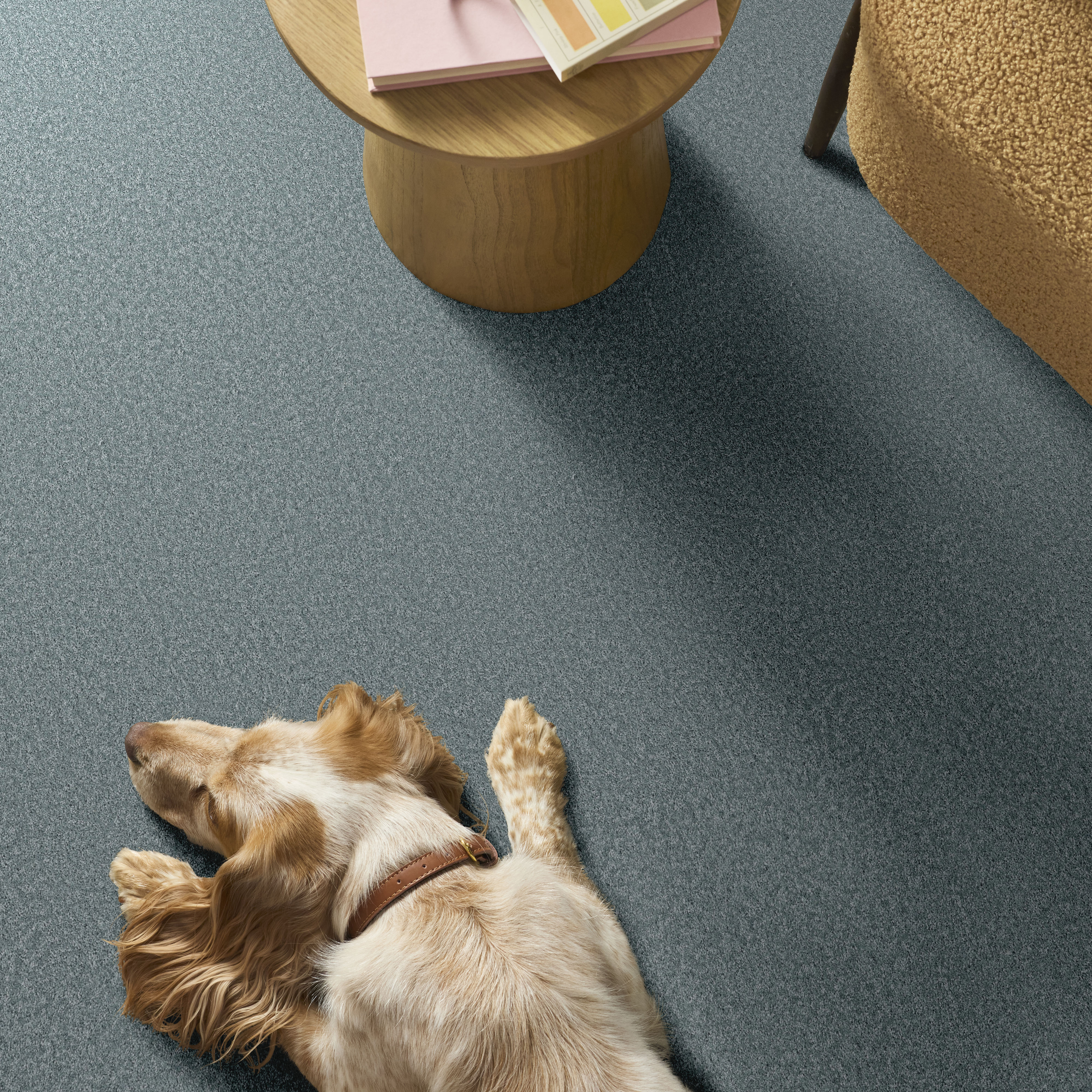 YOU GOT THIS I SEA ICE ROOM