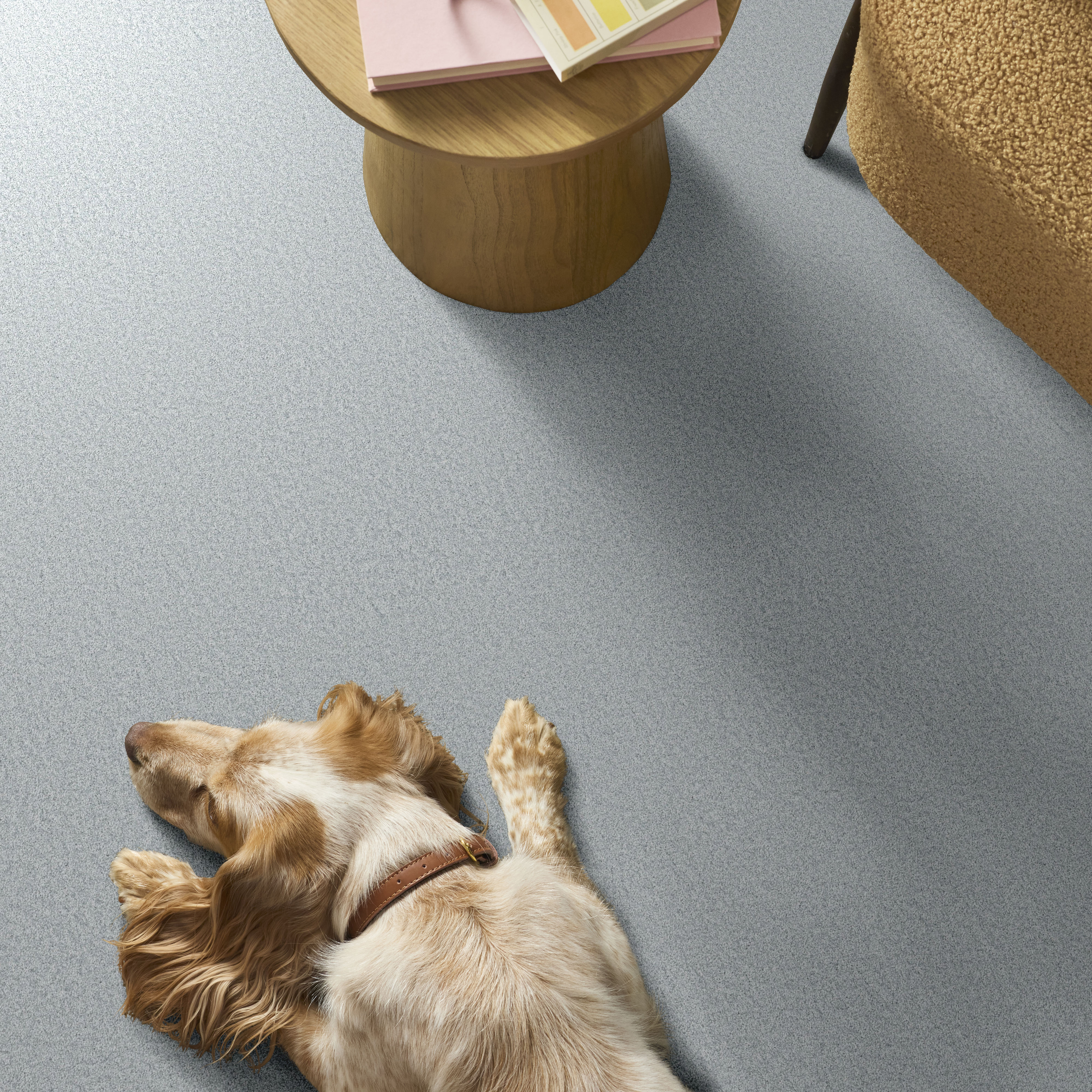 YOU GOT THIS I SERENE BLUE ROOM