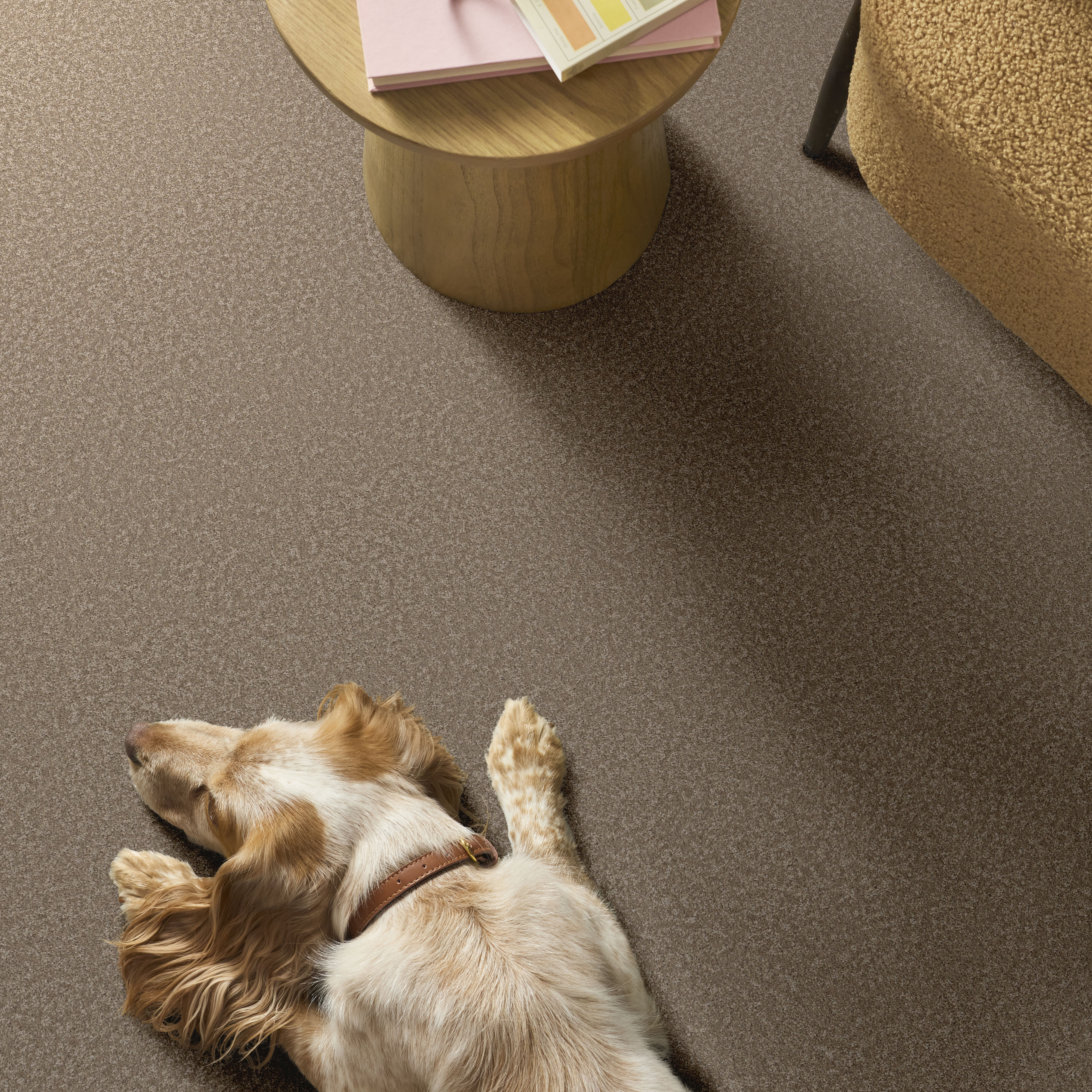 YOU GOT THIS I MISSION RIDGE ROOM