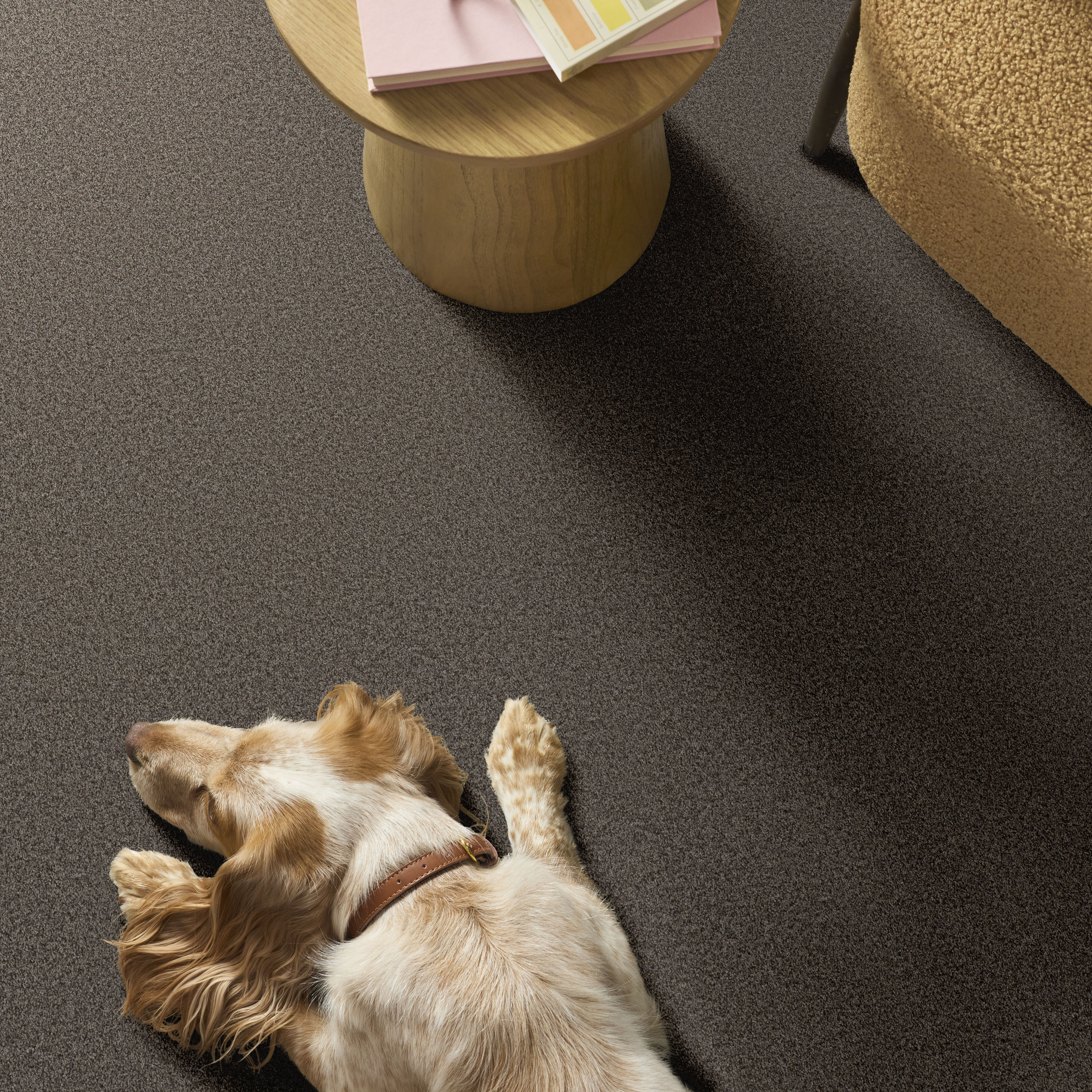 YOU GOT THIS I URBAN RUSTIC ROOM