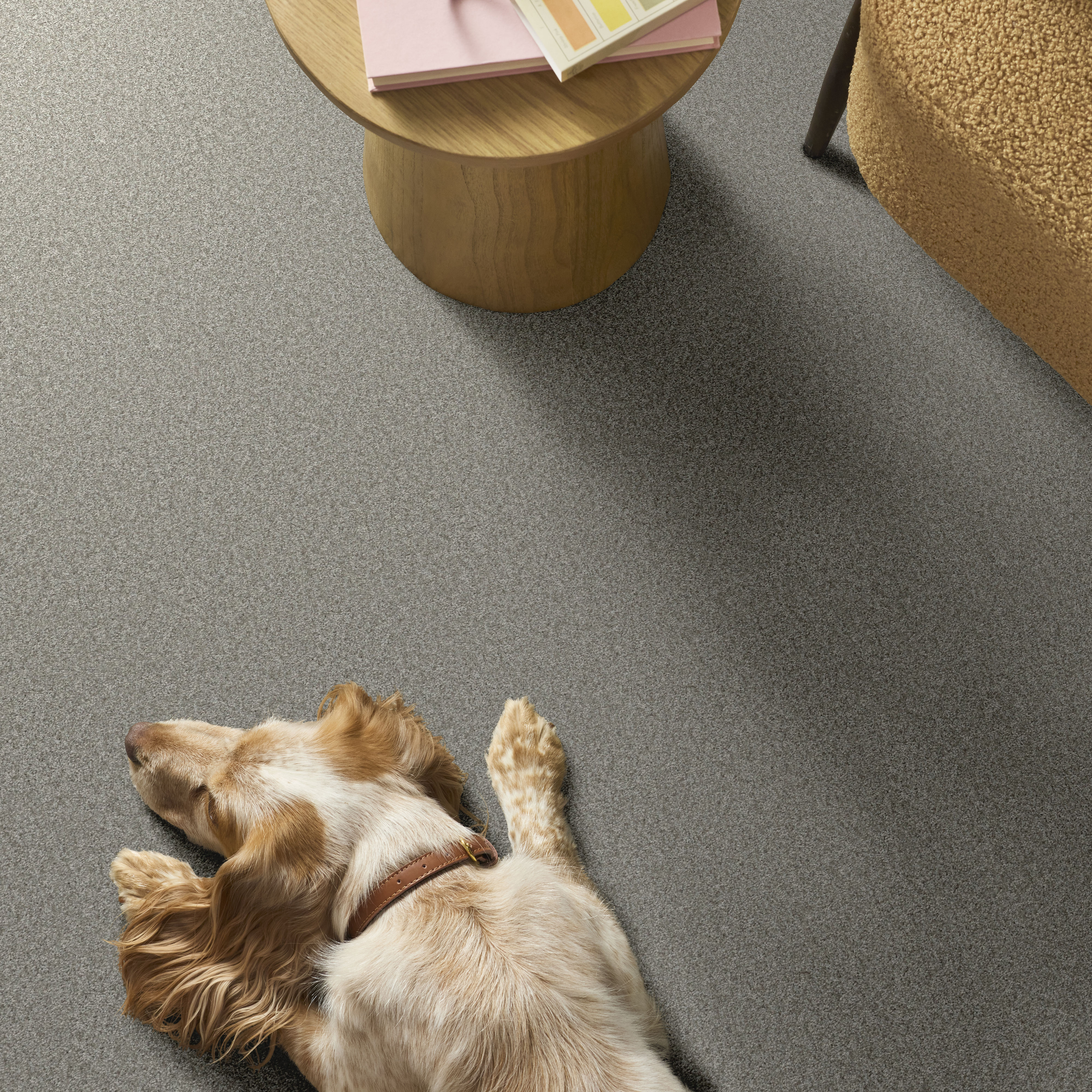 YOU GOT THIS II FROSTED LEAF ROOM