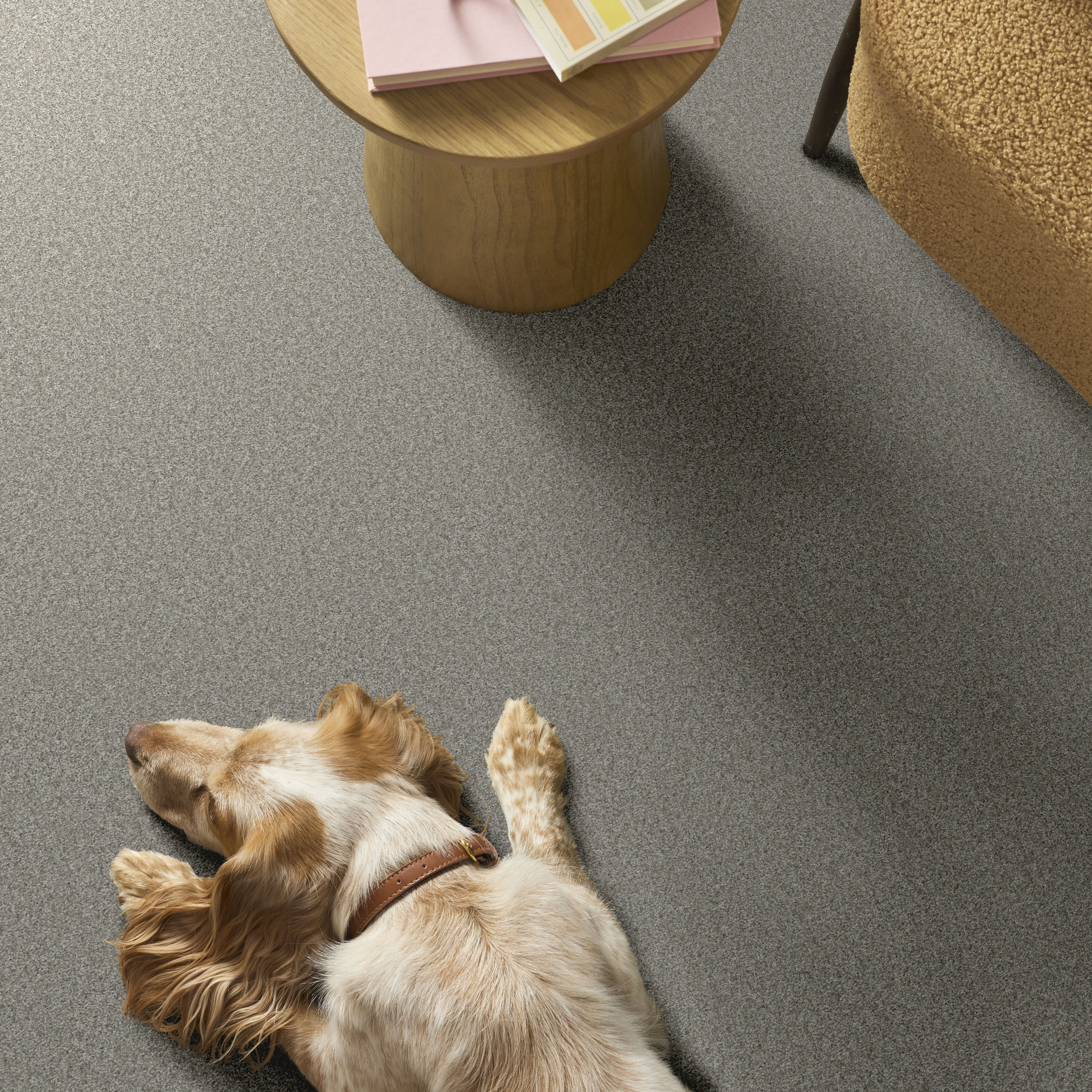 YOU GOT THIS III FROSTED LEAF ROOM