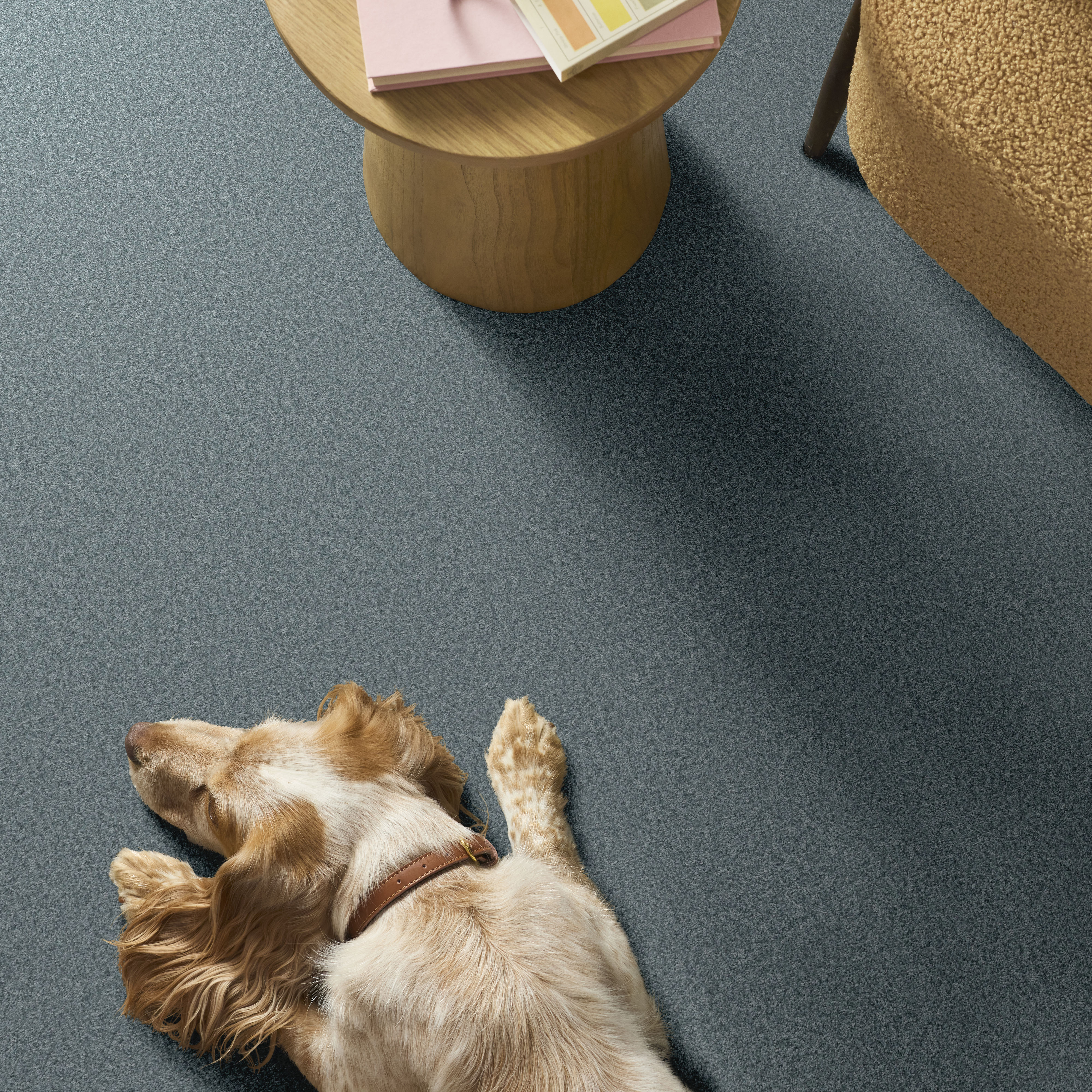 YOU GOT THIS III SEA ICE ROOM