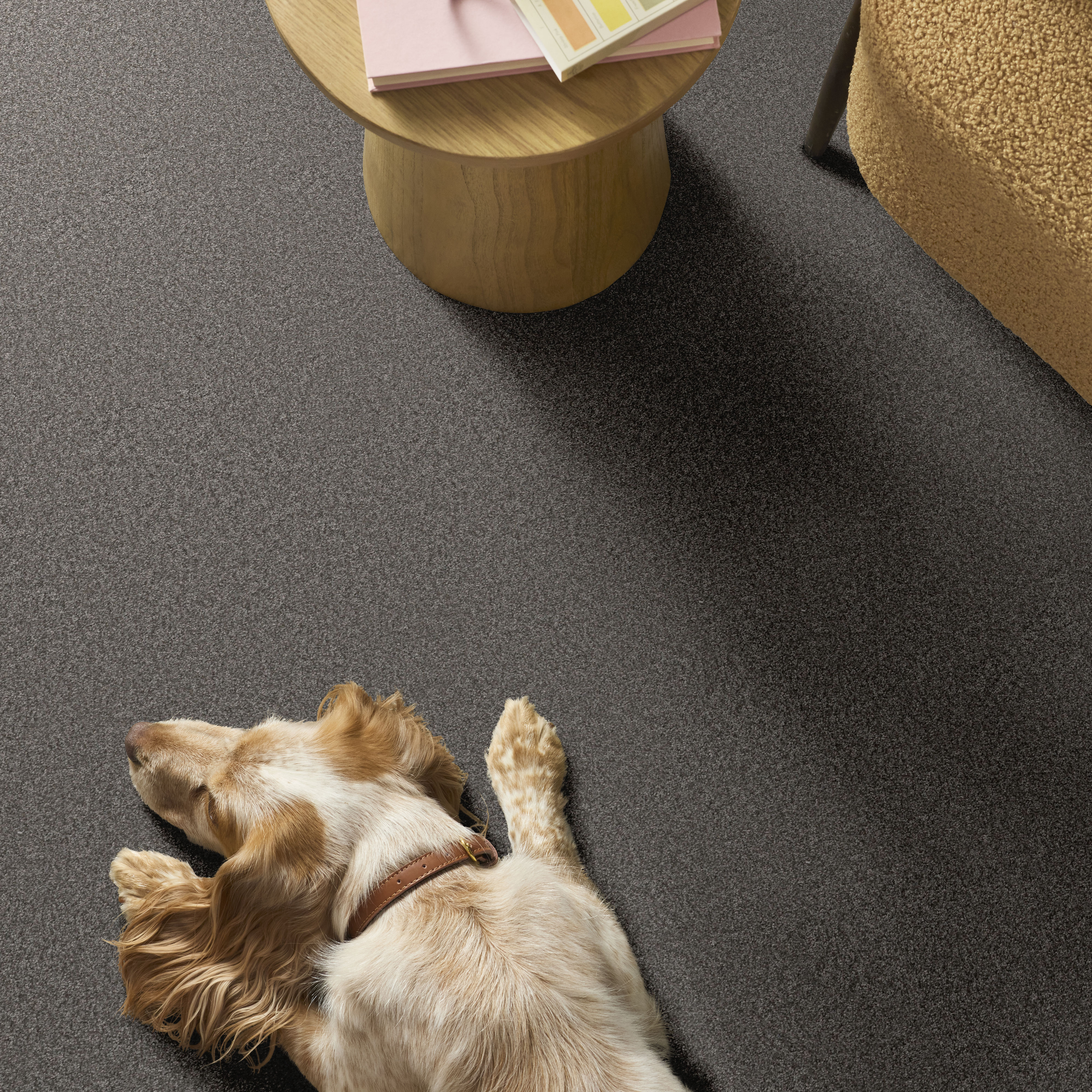 YOU GOT THIS III ASHES ROOM