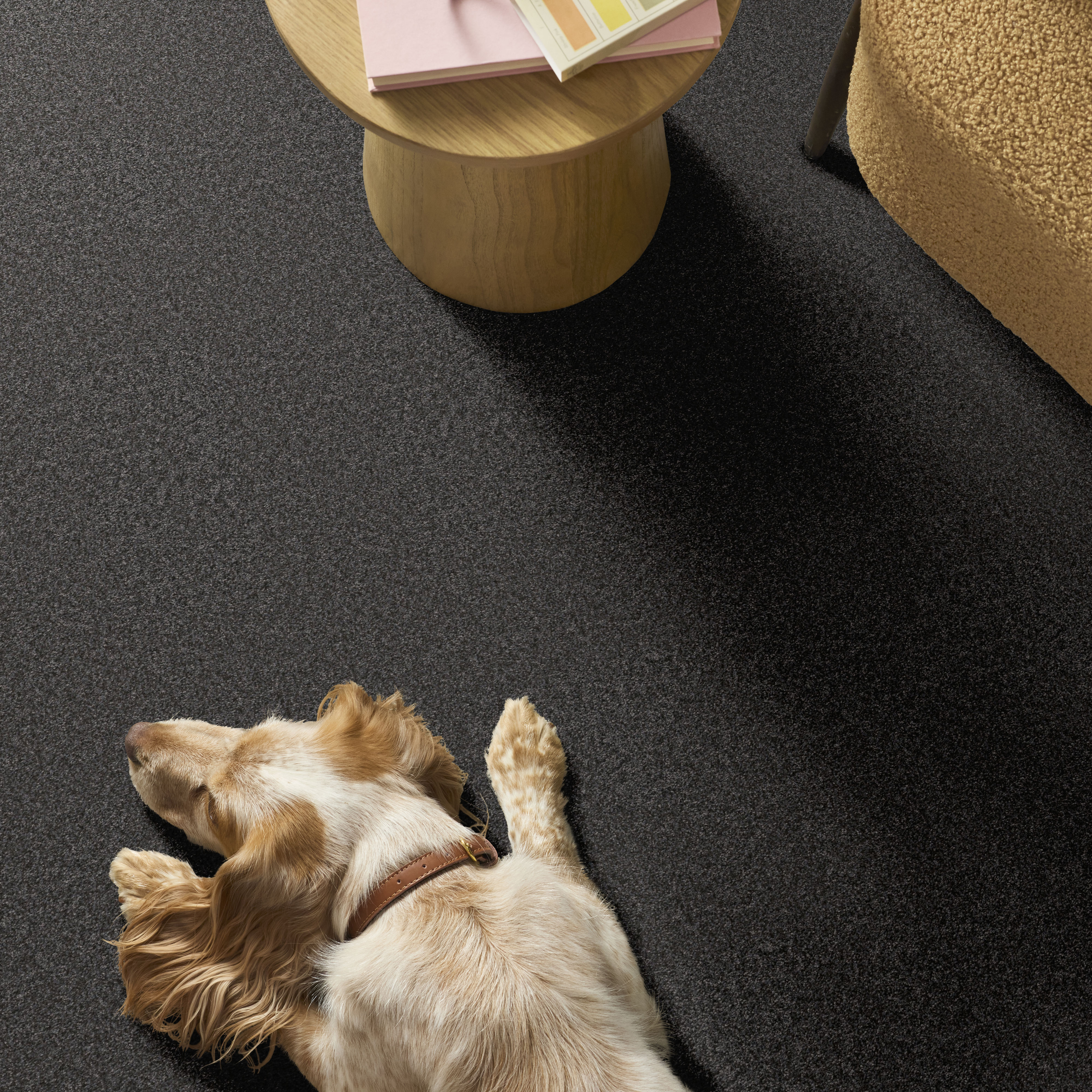 YOU GOT THIS III SHADOW ROOM