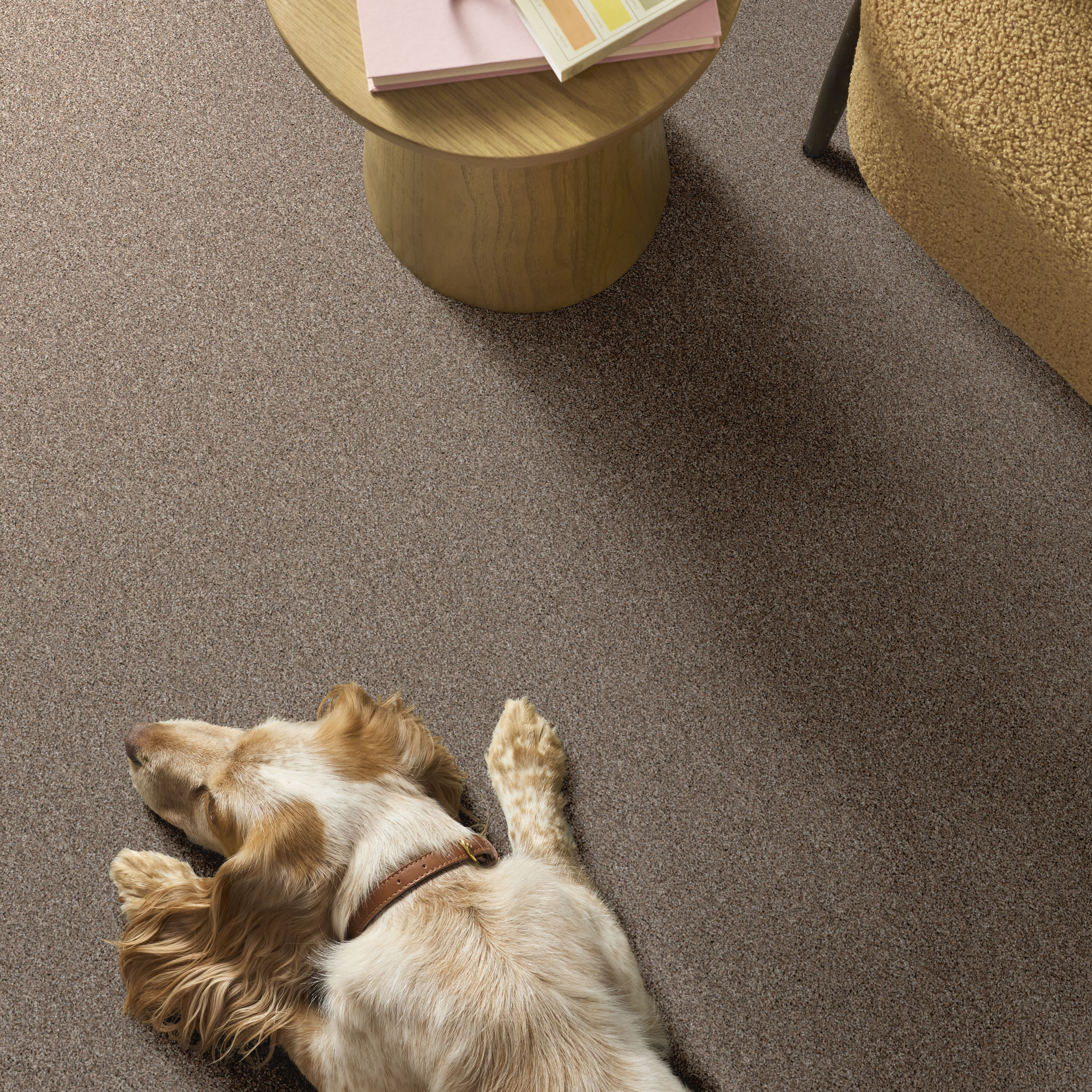 YES YOU CAN I 12' SUBTLE CLAY ROOM