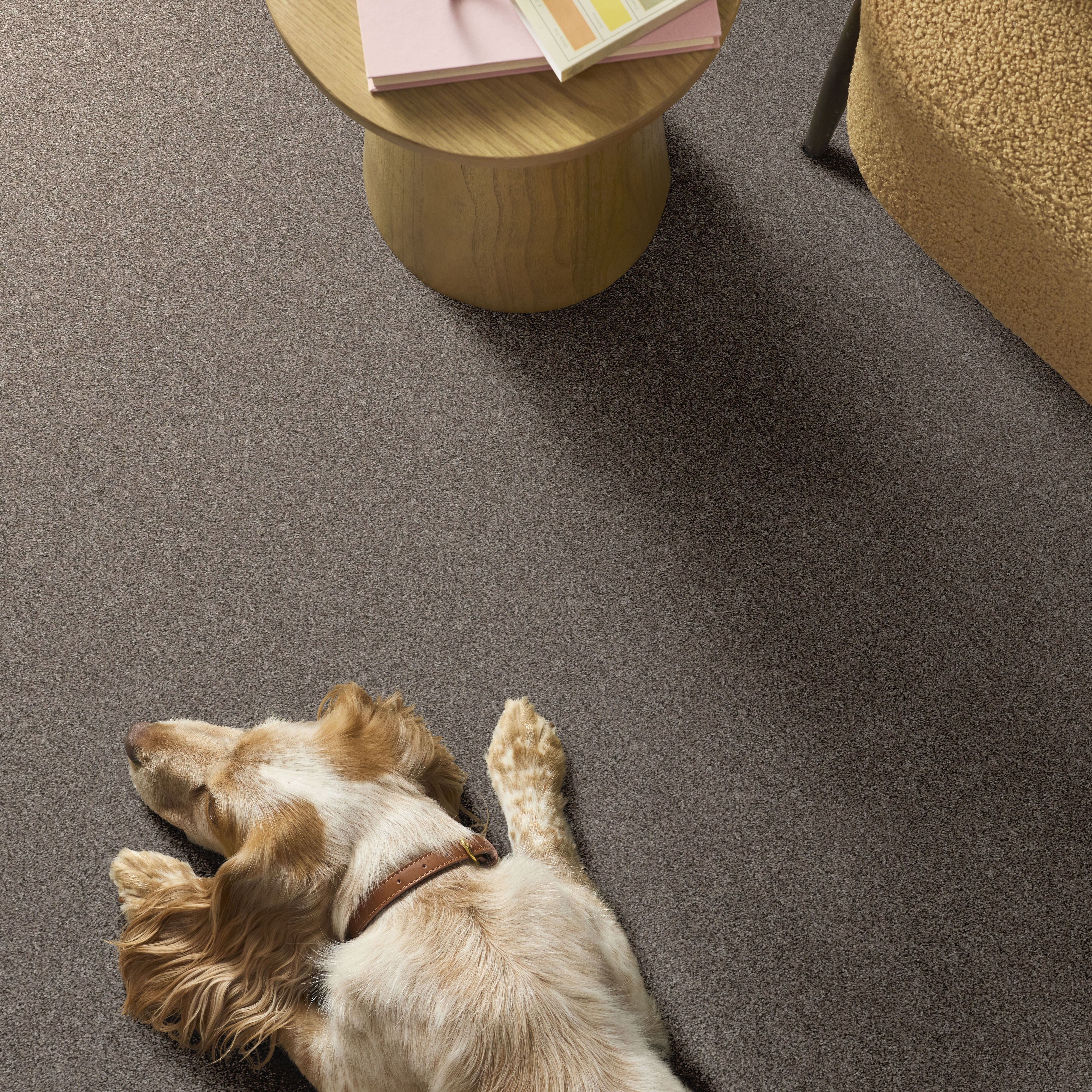 YES YOU CAN I 12' WARM LIGHT ROOM