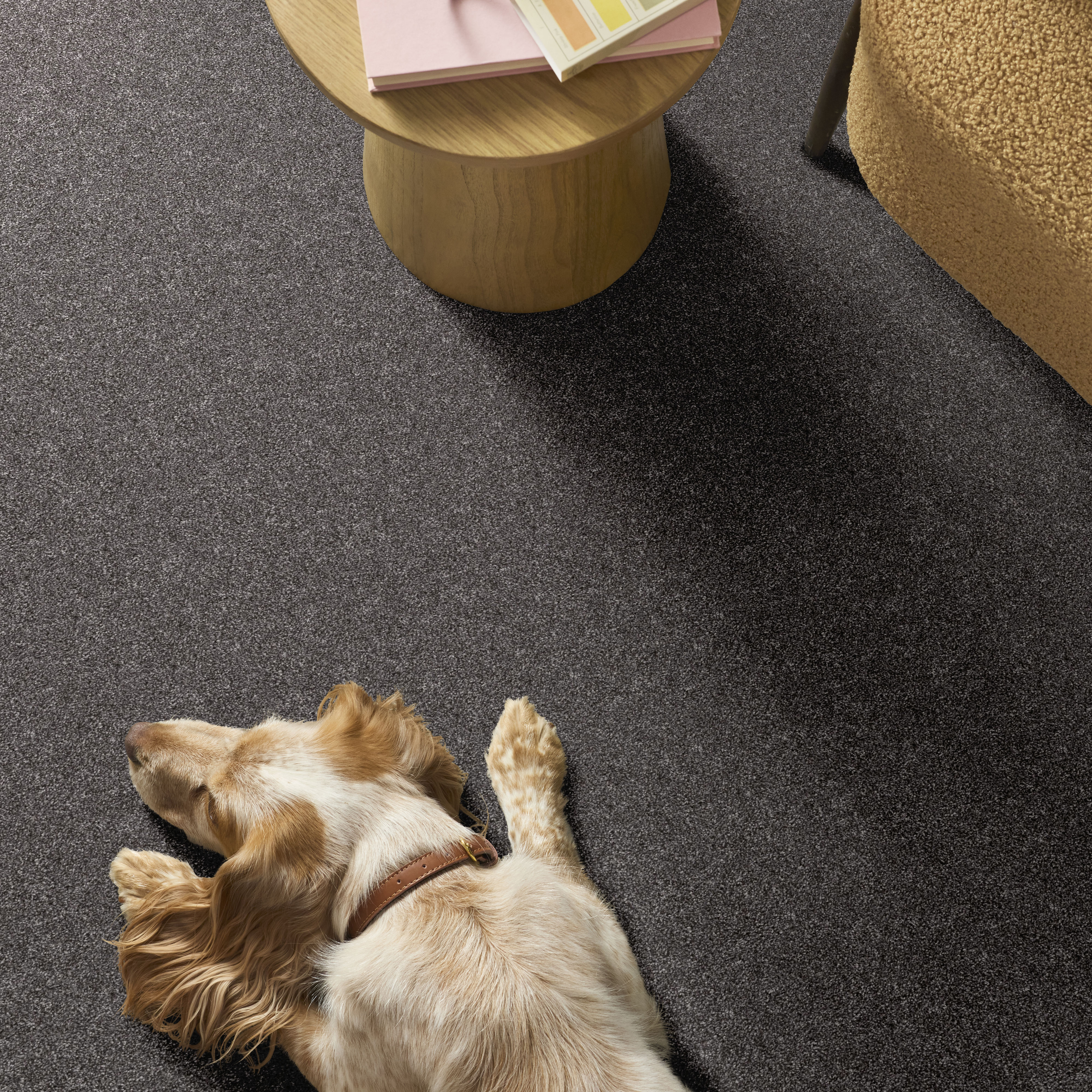 YES YOU CAN I 12' SHADOW ROOM