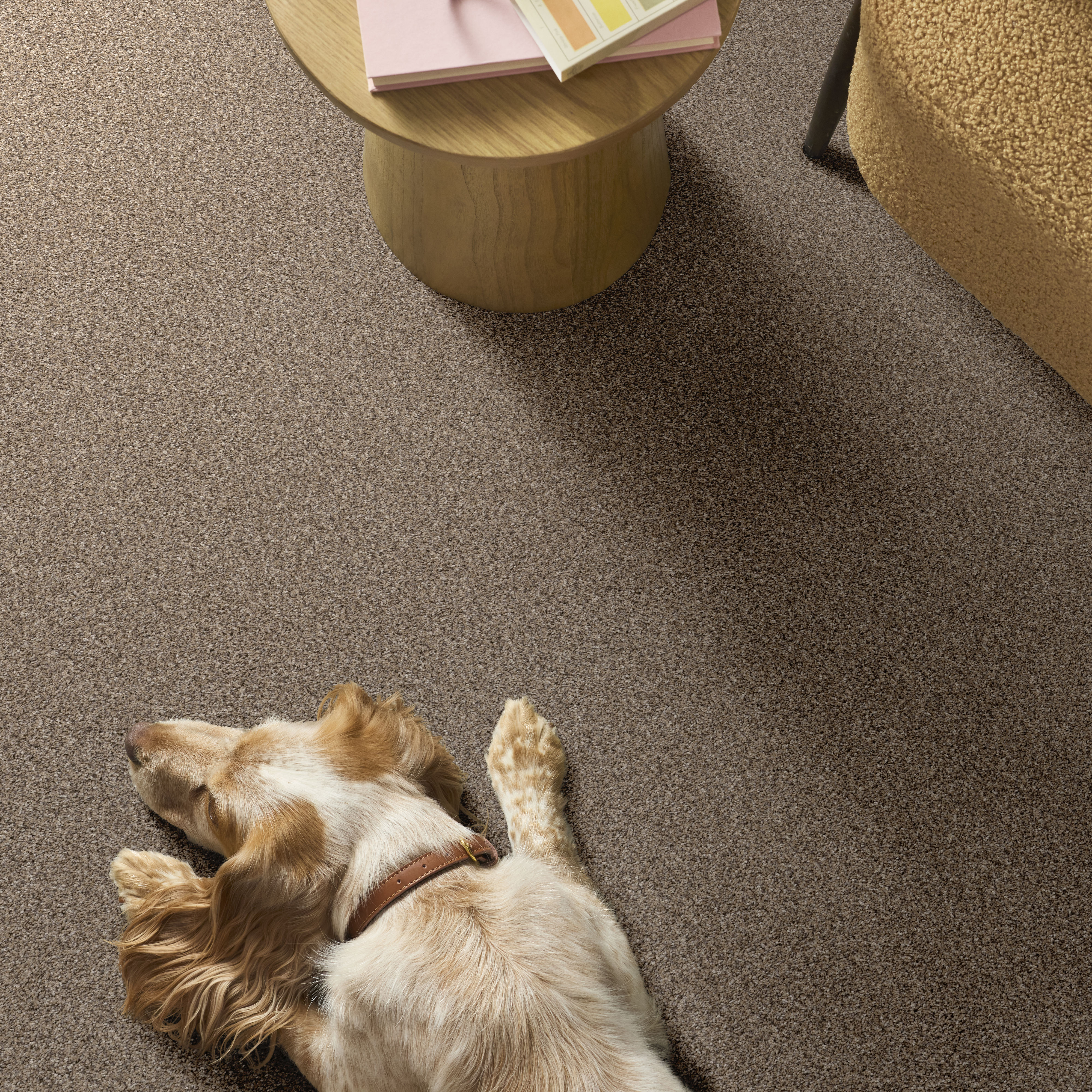 YES YOU CAN II 12' SEA SHELL ROOM