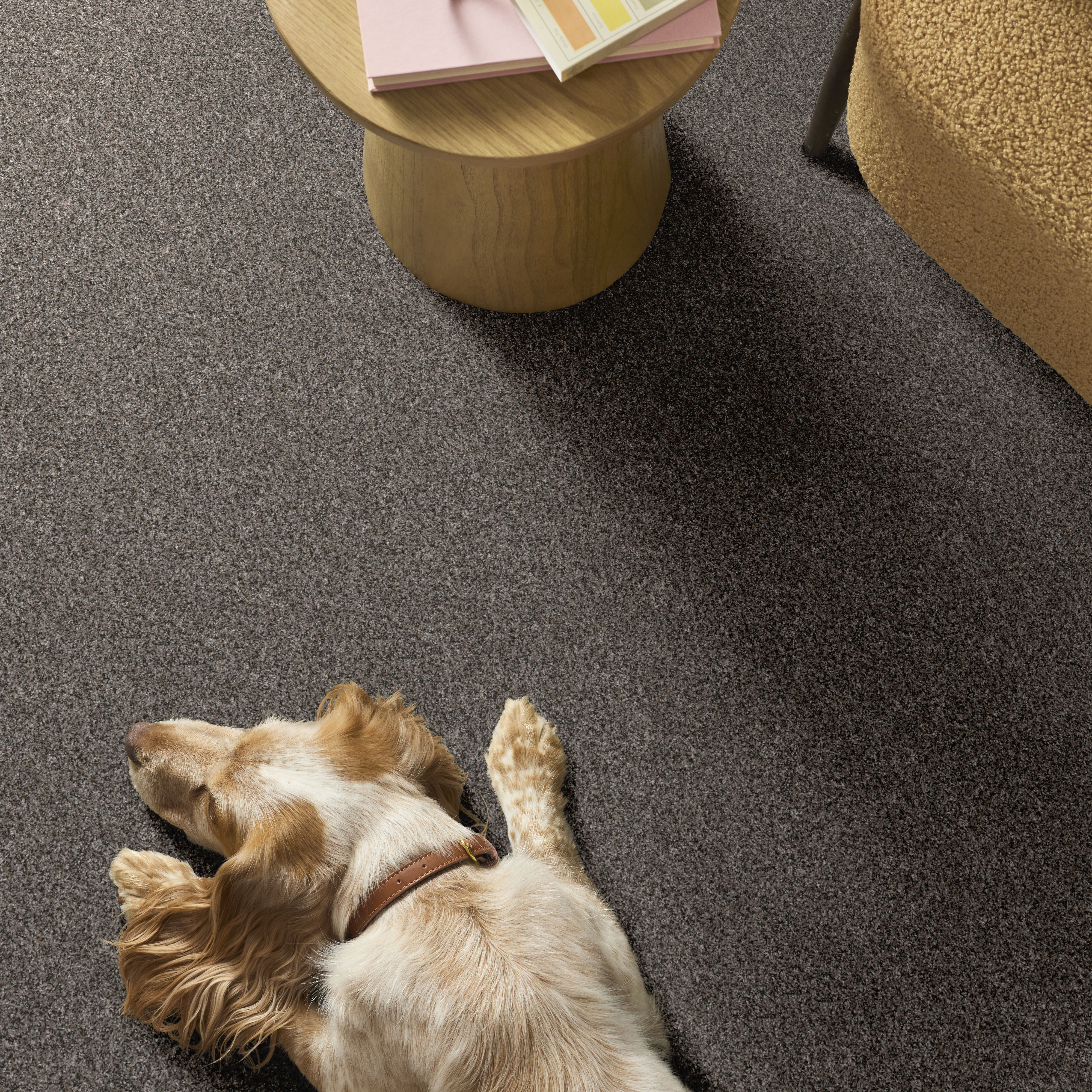 YES YOU CAN II 12' MARBLE ROOM