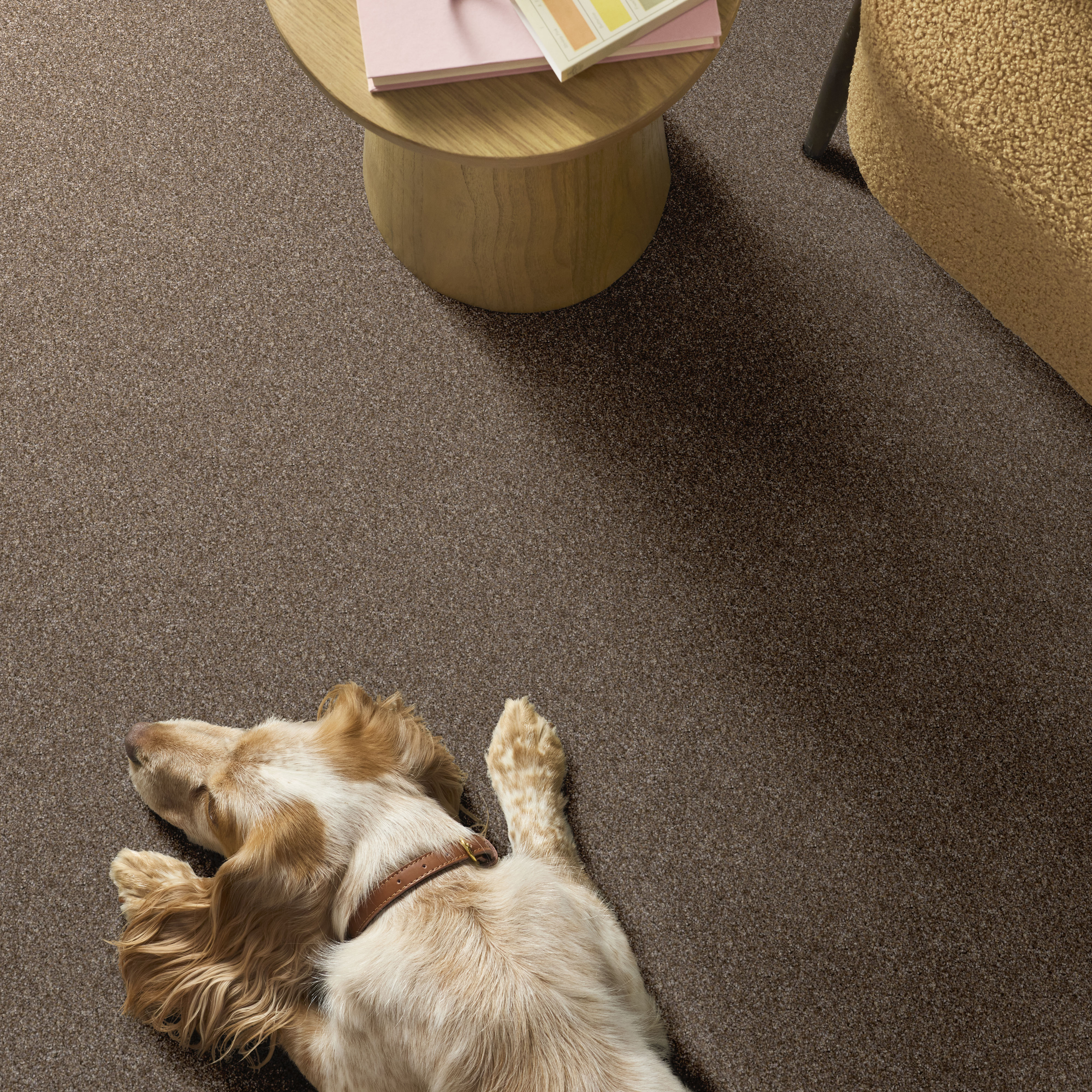 YES YOU CAN II 12' HONEYCOMB ROOM