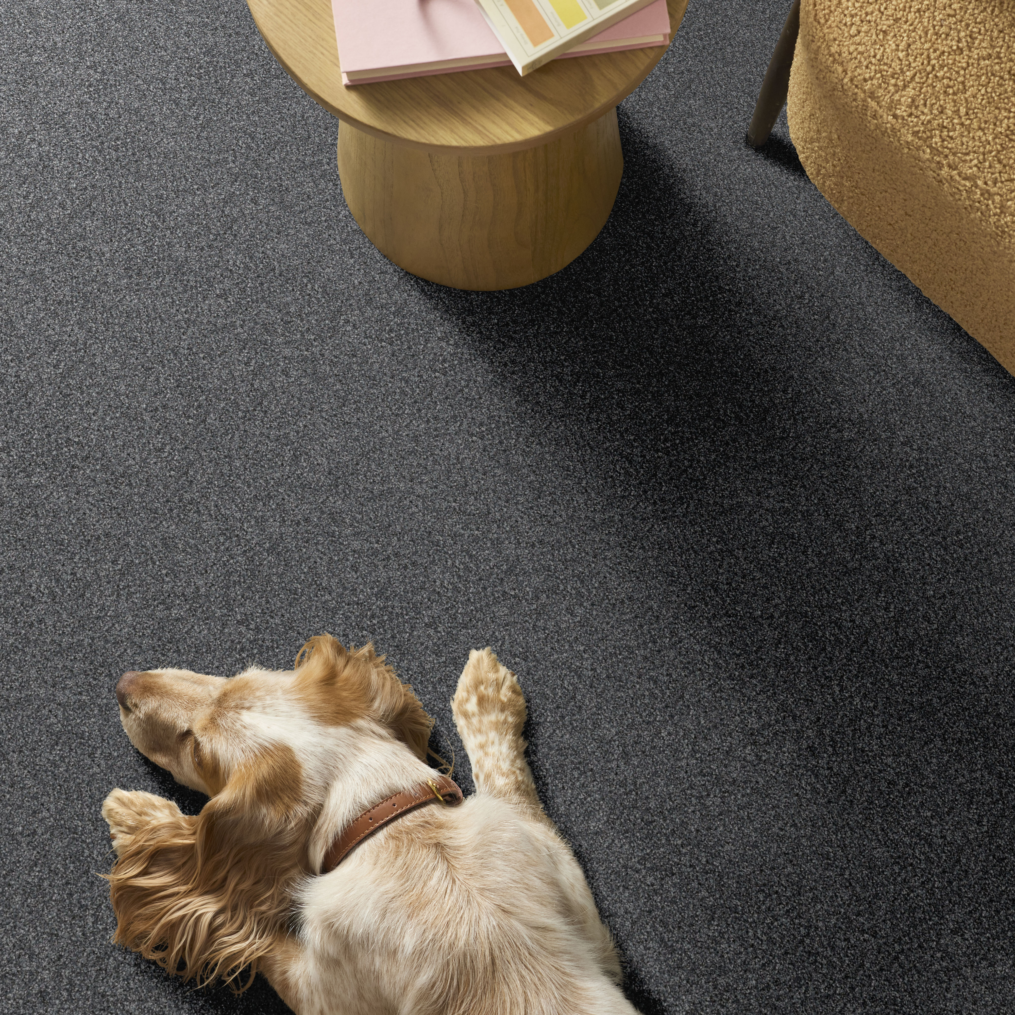 YES YOU CAN II 12' REFINED ROOM