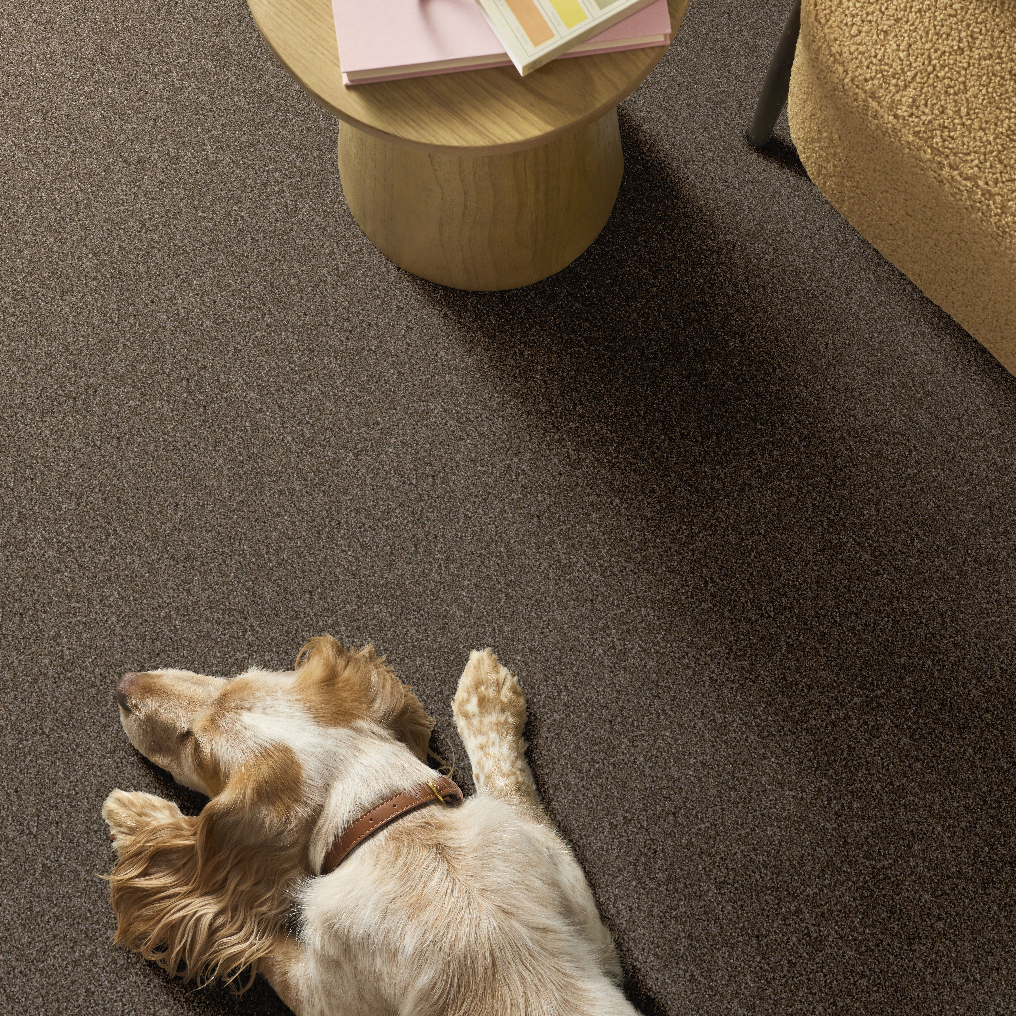 YES YOU CAN II 12' MISSION RIDGE ROOM