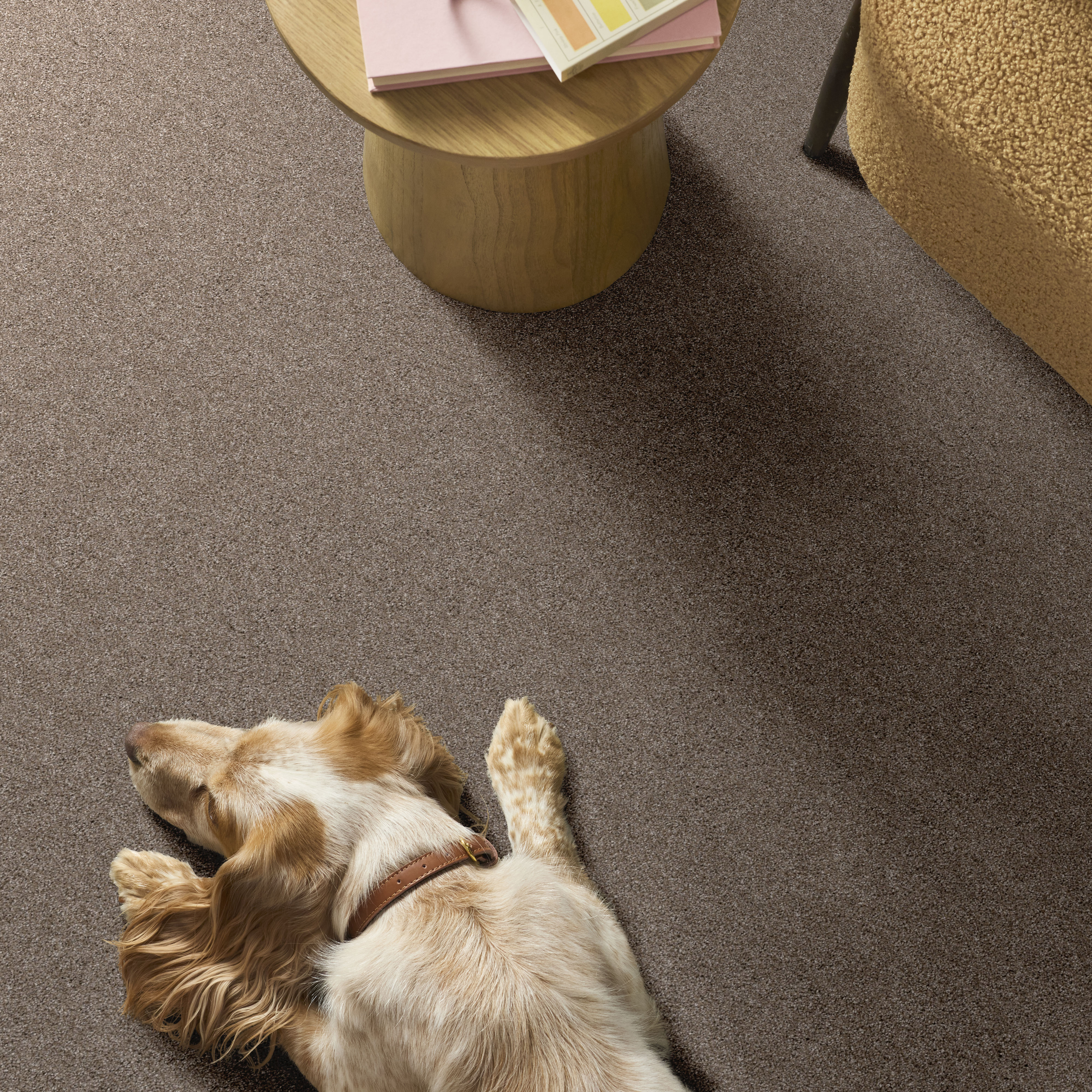 YES YOU CAN III 12' CAMEO ROOM