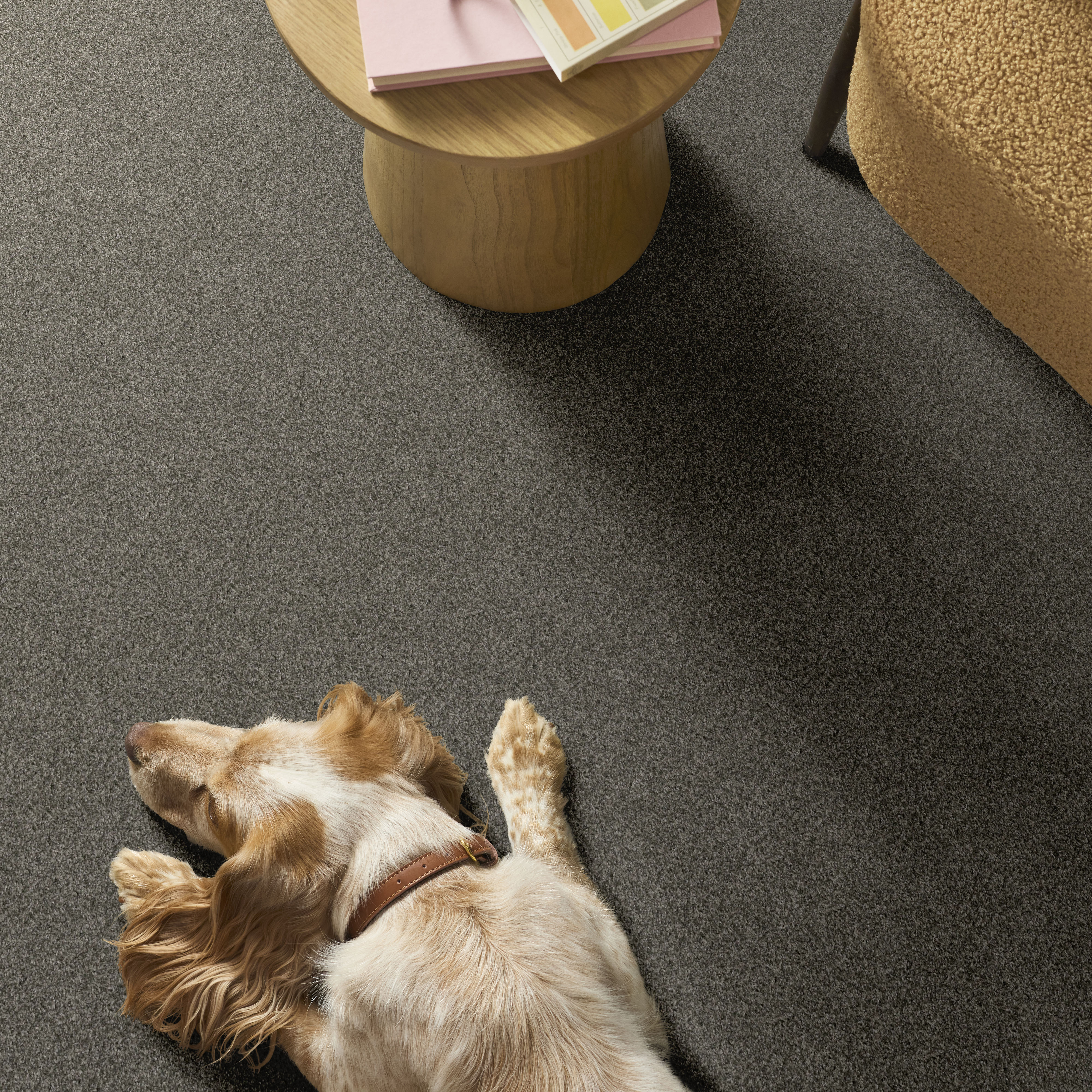 YES YOU CAN III 12' REROOTED NATURE ROOM